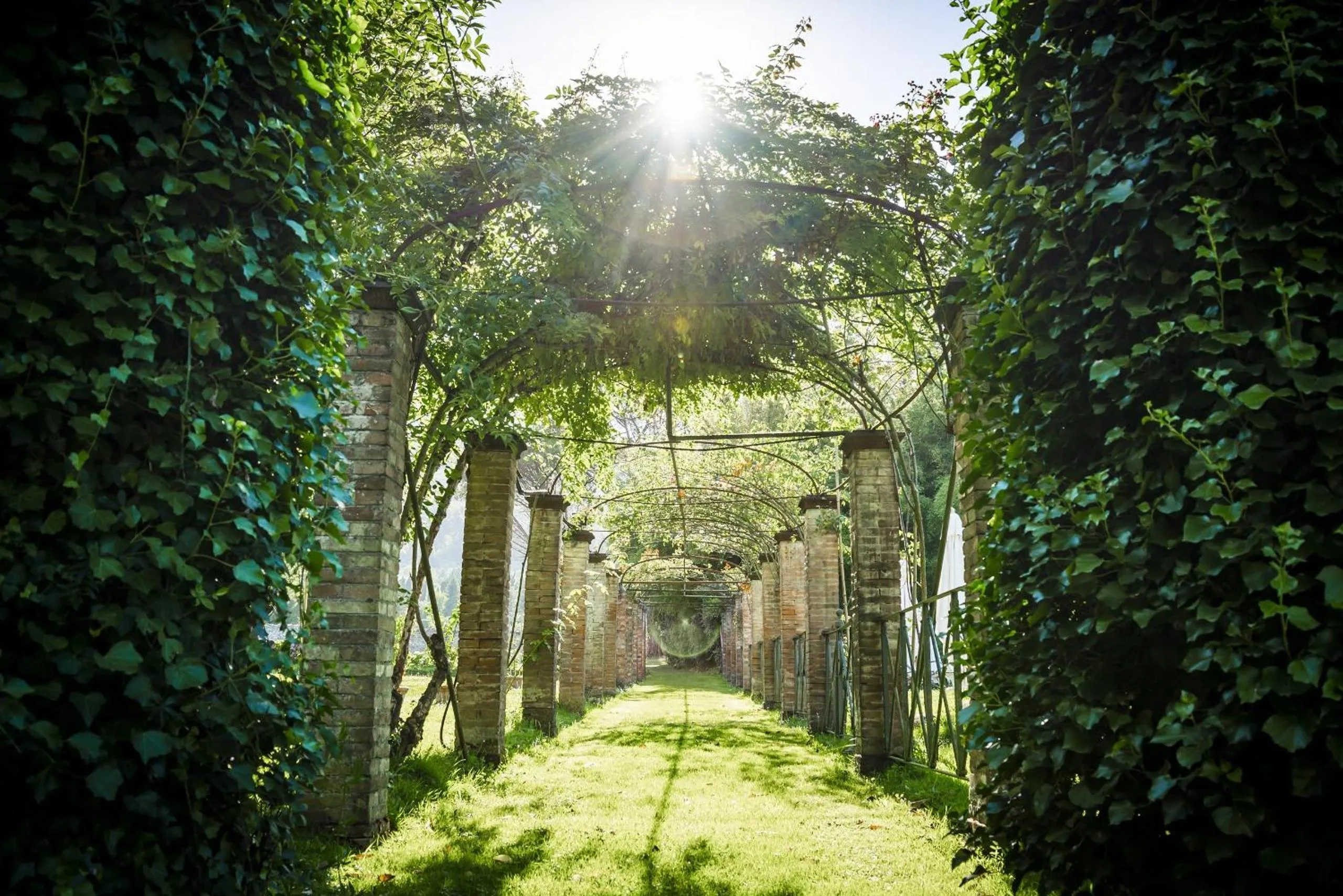 Garden in Hotel Villa La Principessa