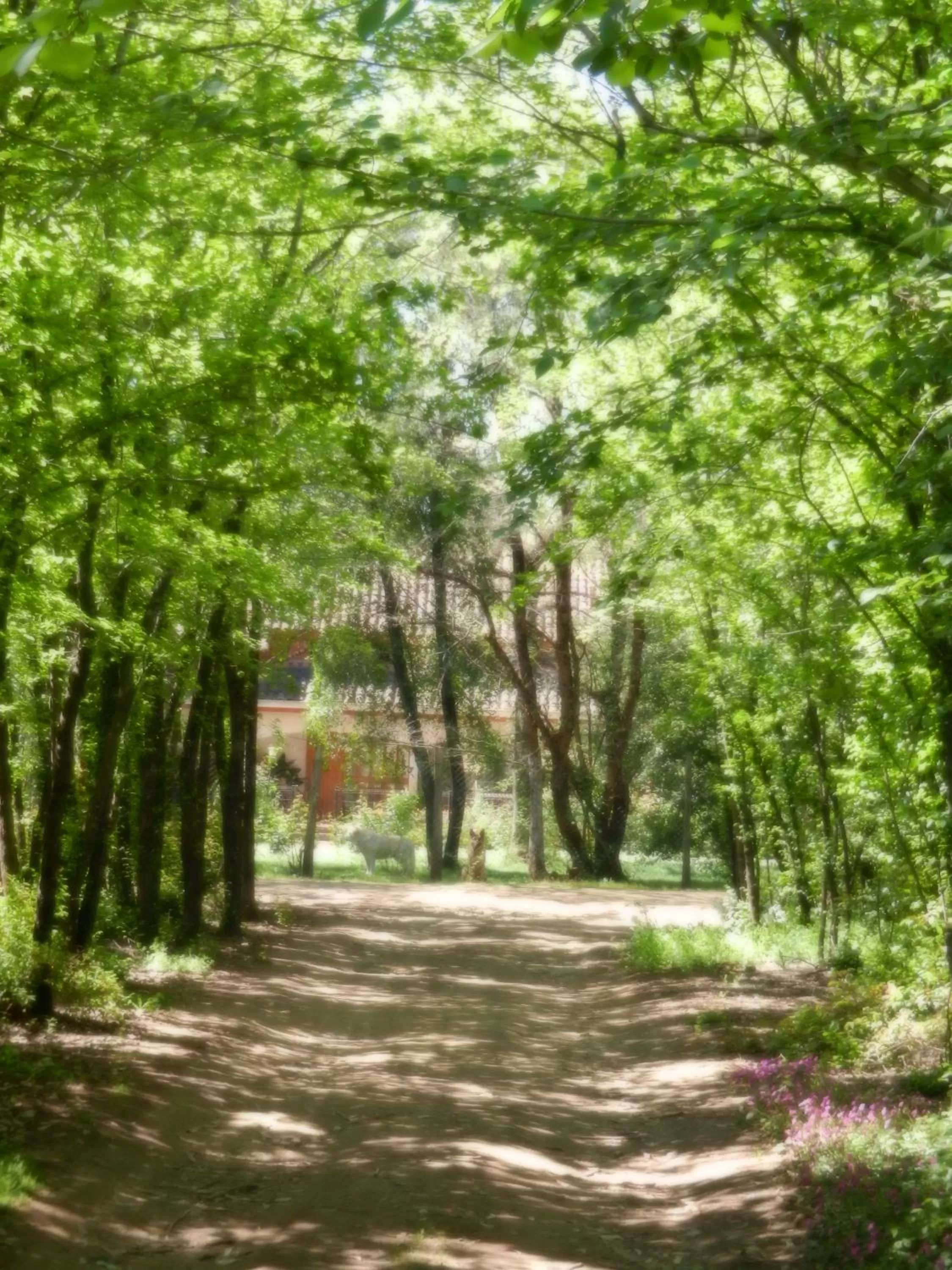 Natural landscape in La Casa de Adobe Natural y Más