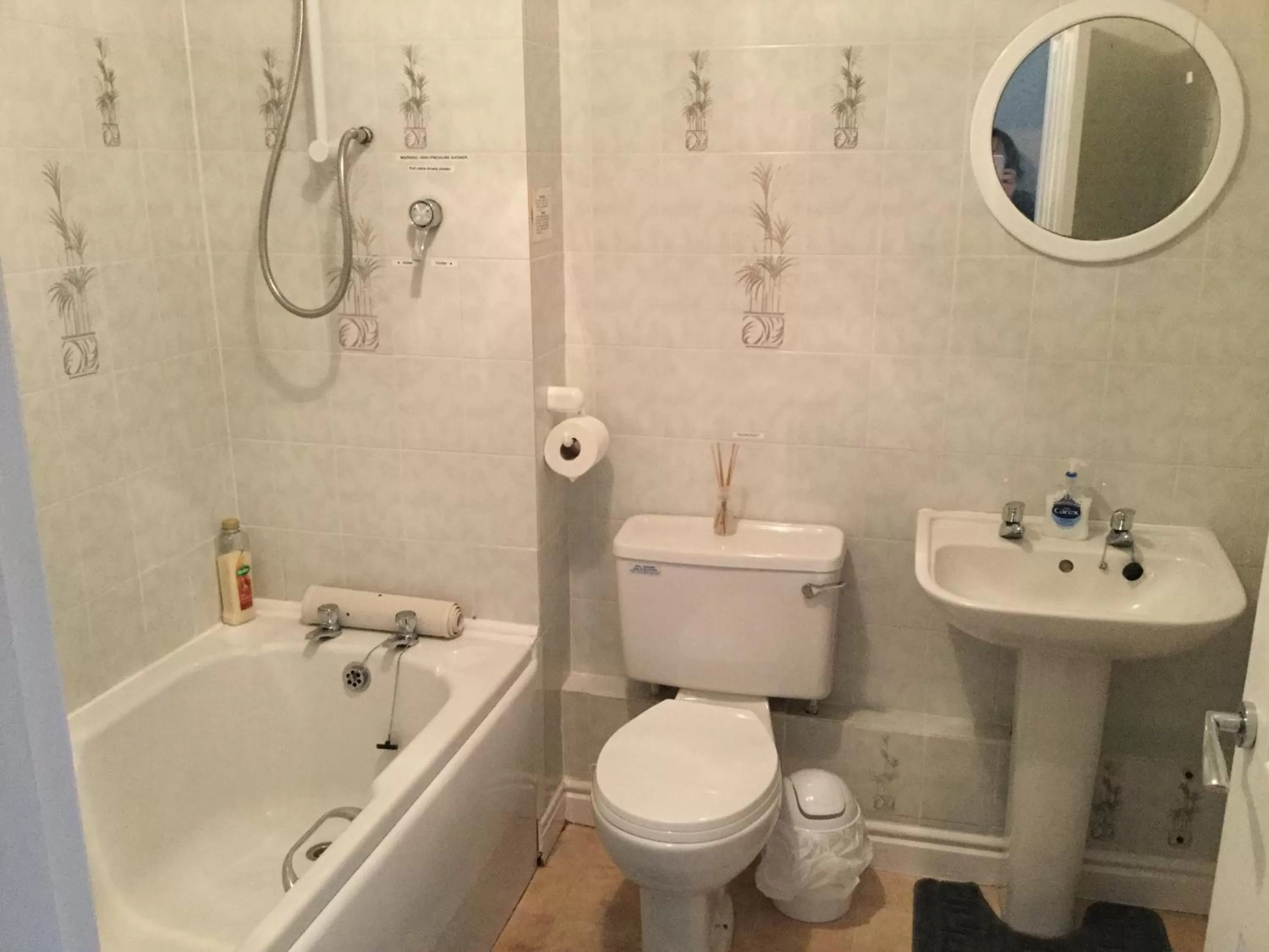 Toilet in Trem Hyfryd B&B