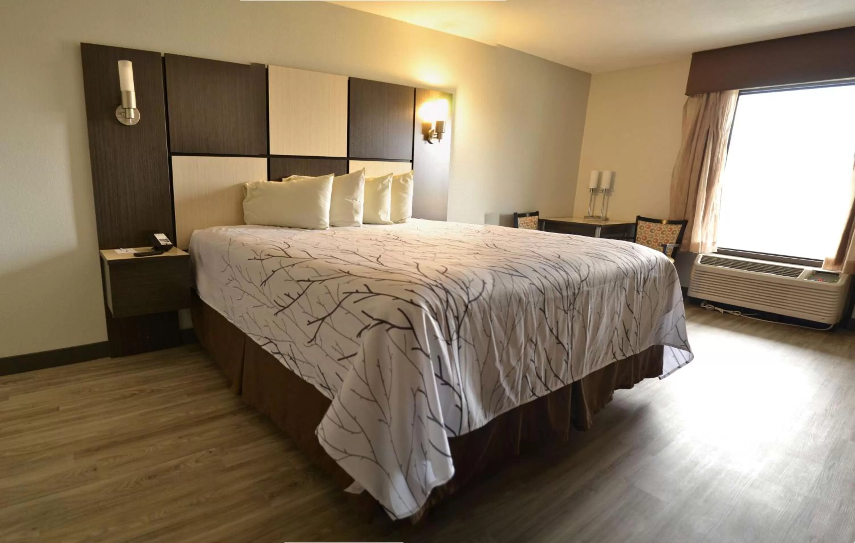 Photo of the whole room, Bed in Best Western Cades Cove Inn