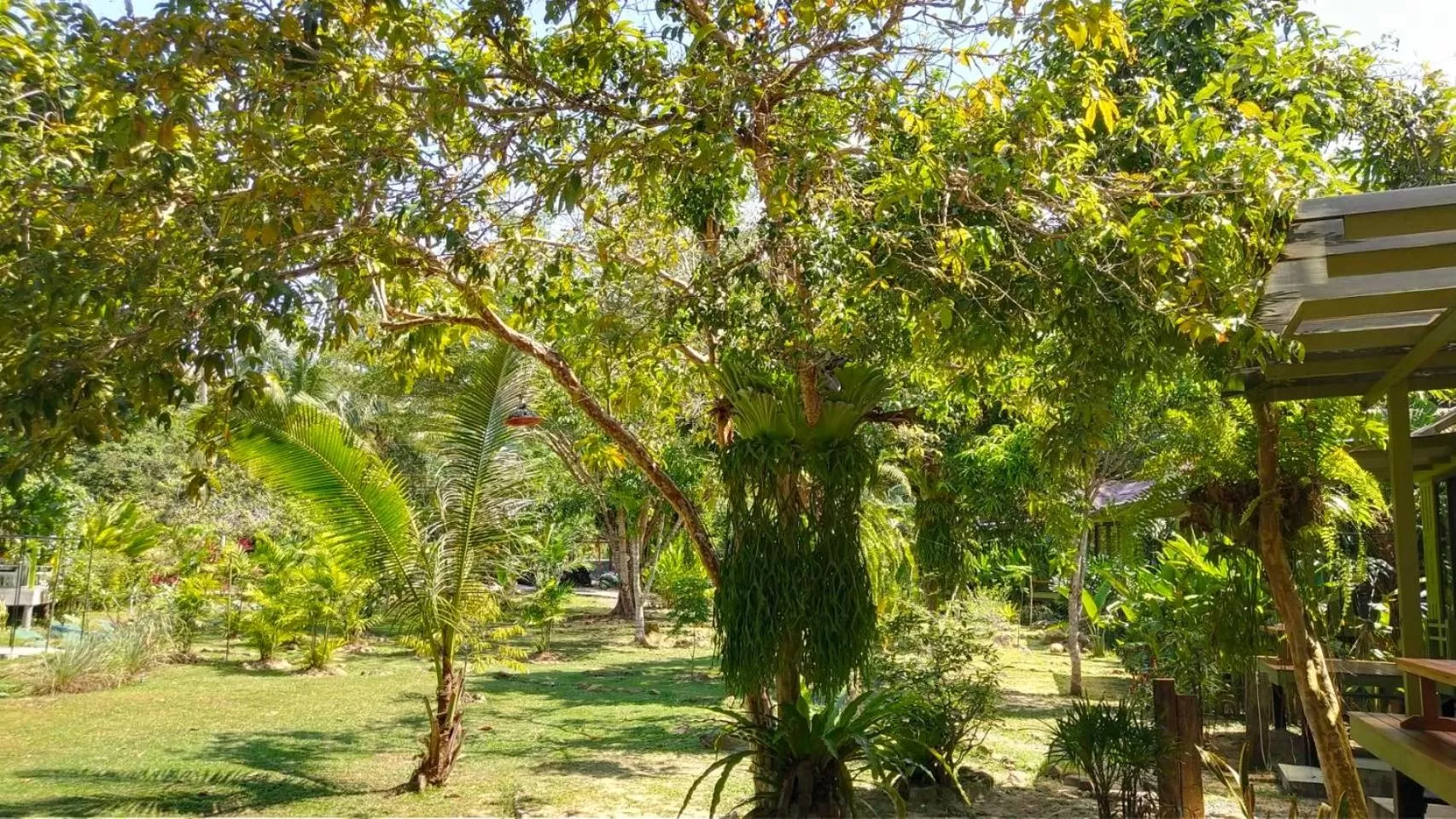 Garden in Baan Bua Cottage SHA EXTRA PLUS B5510