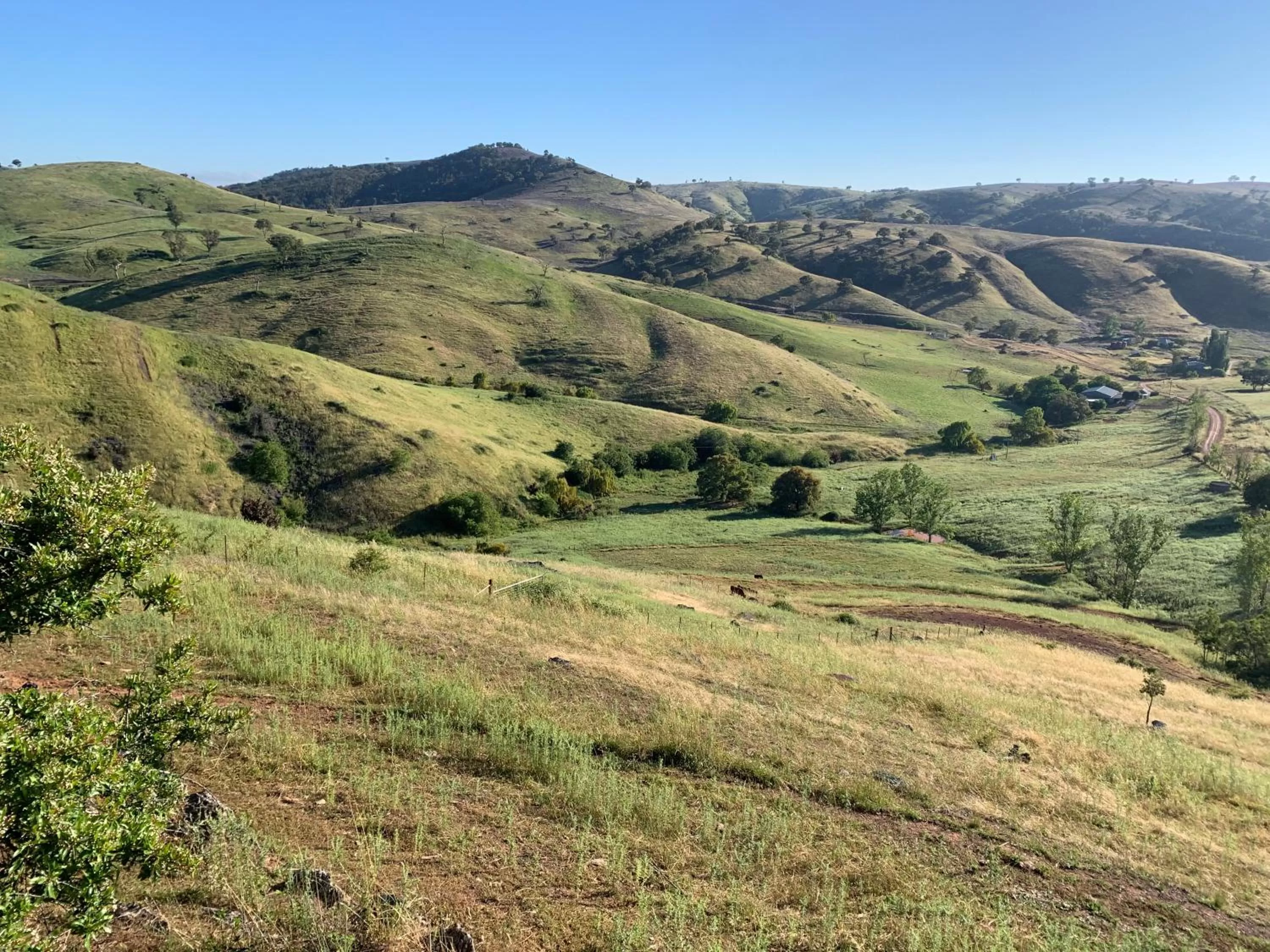 Natural landscape in Amazing Views Pet Friendly Bed and Breakfast