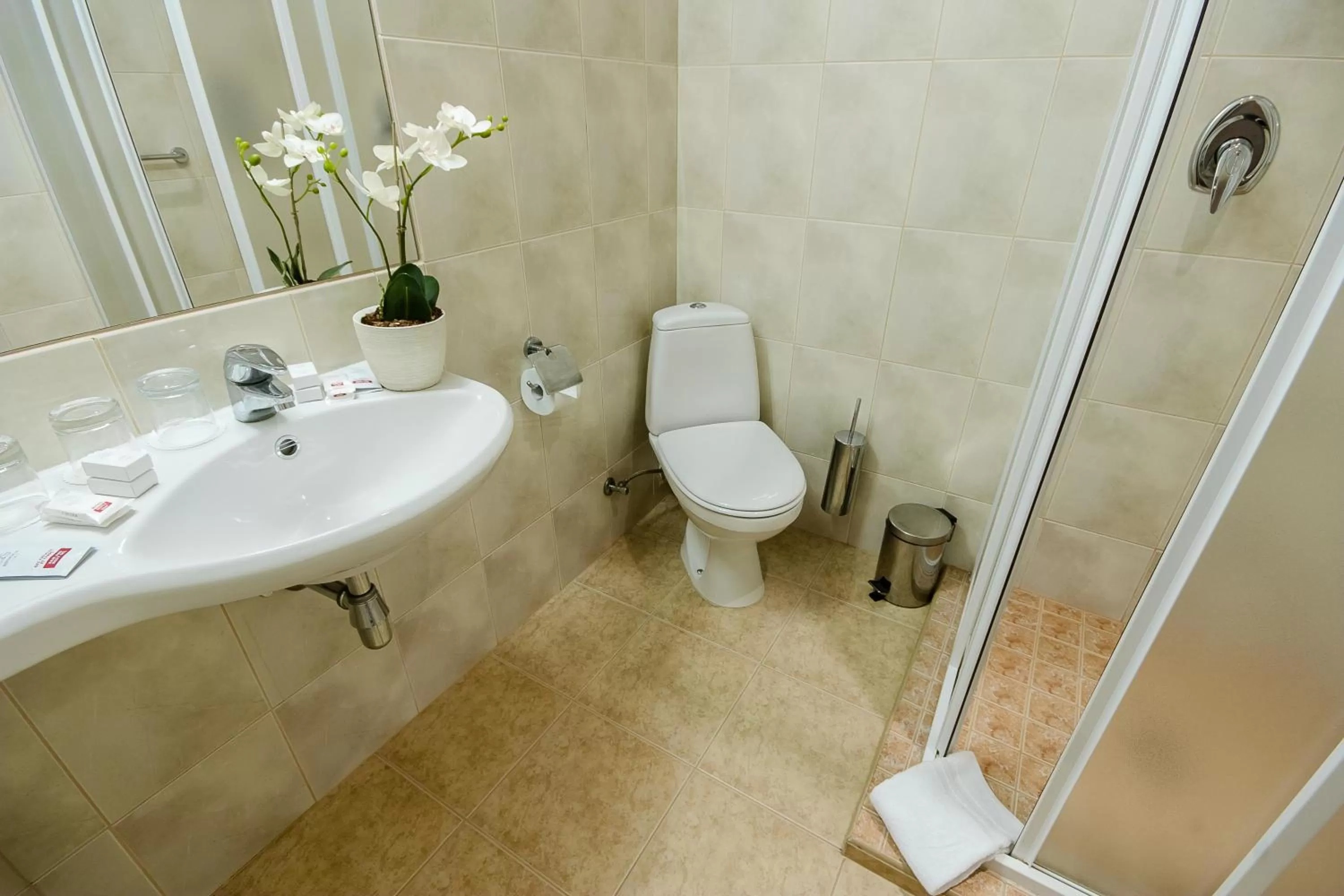 Shower in Hotel Tigra