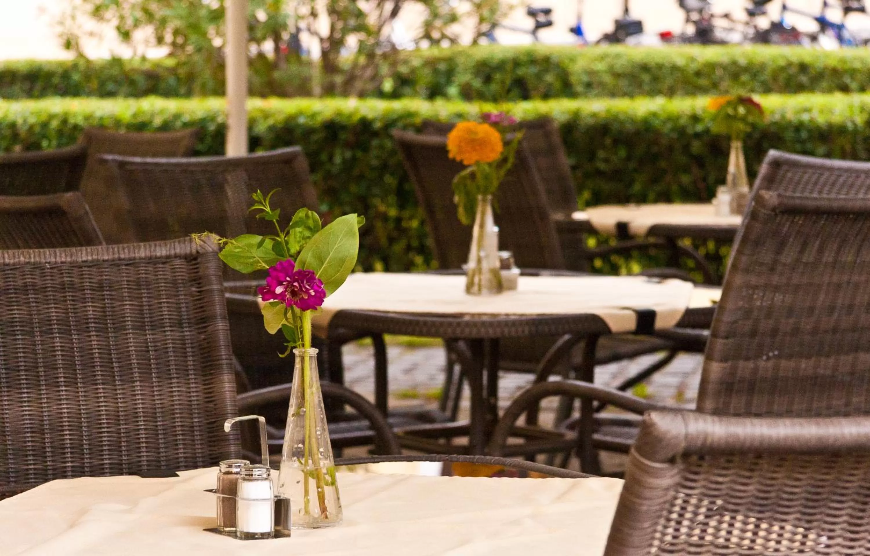 Garden in Hotel Klastrom