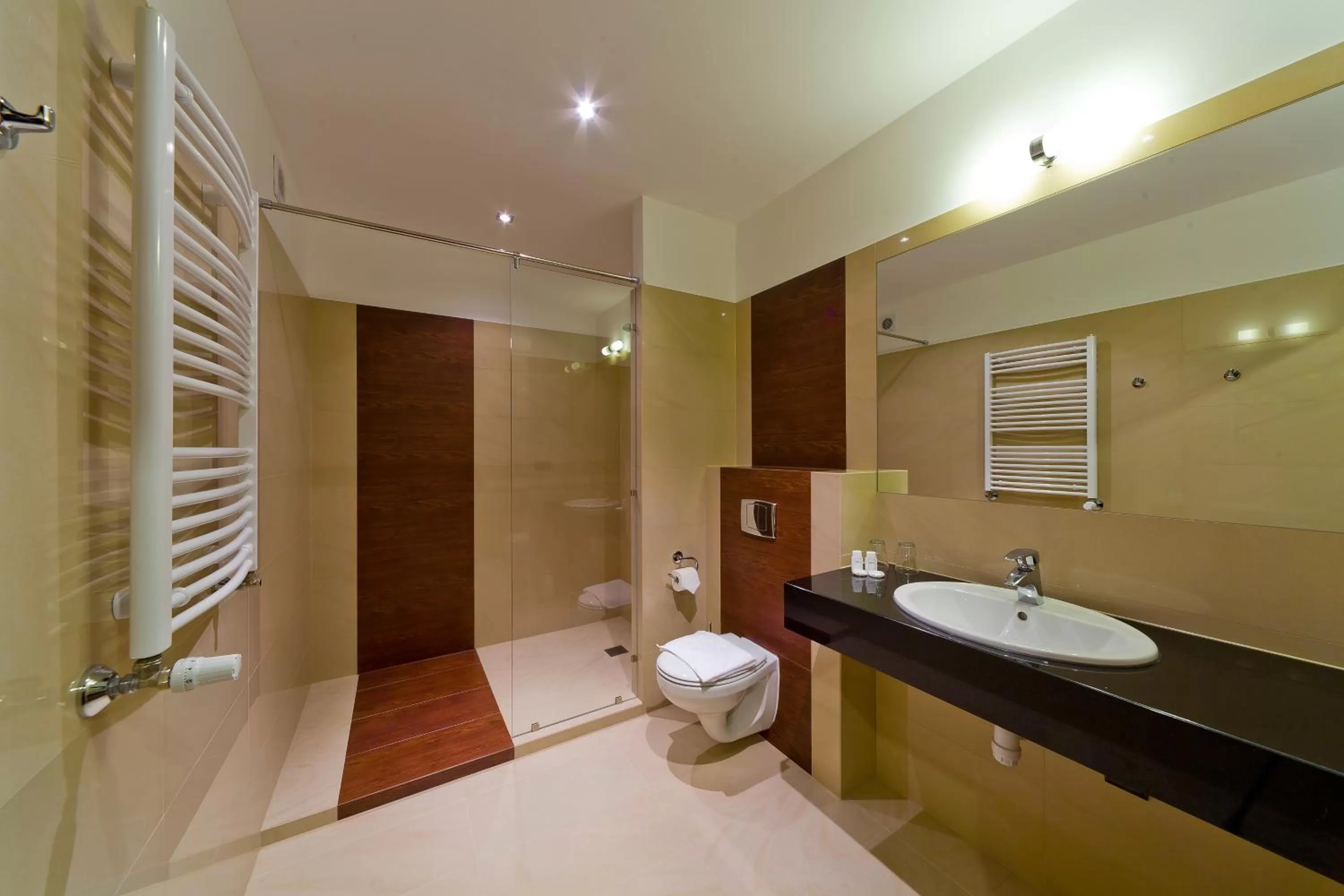 Toilet in Hotel Zimnik Luksus Natury Spa & Wellness