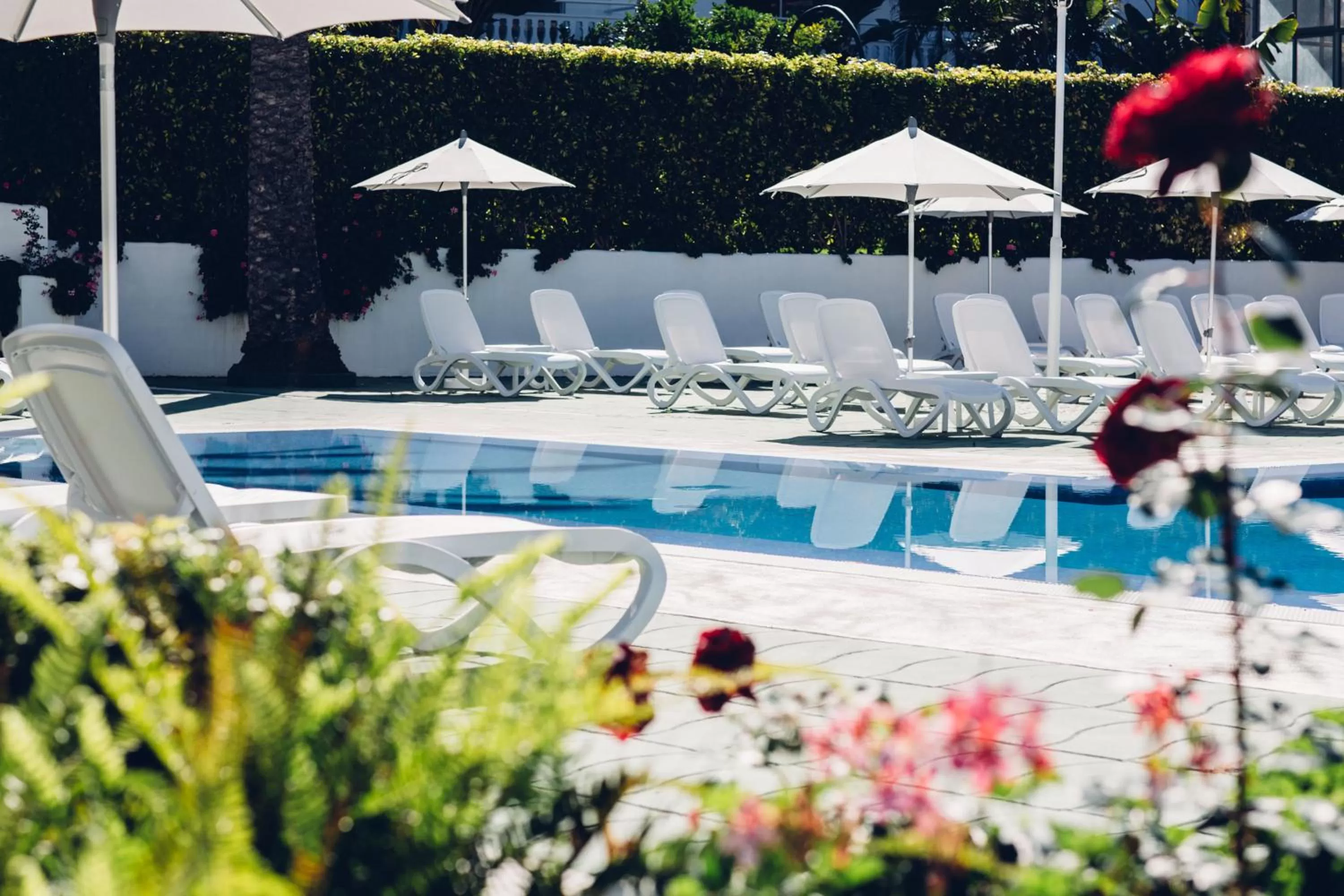 Swimming pool in Route Active Hotel