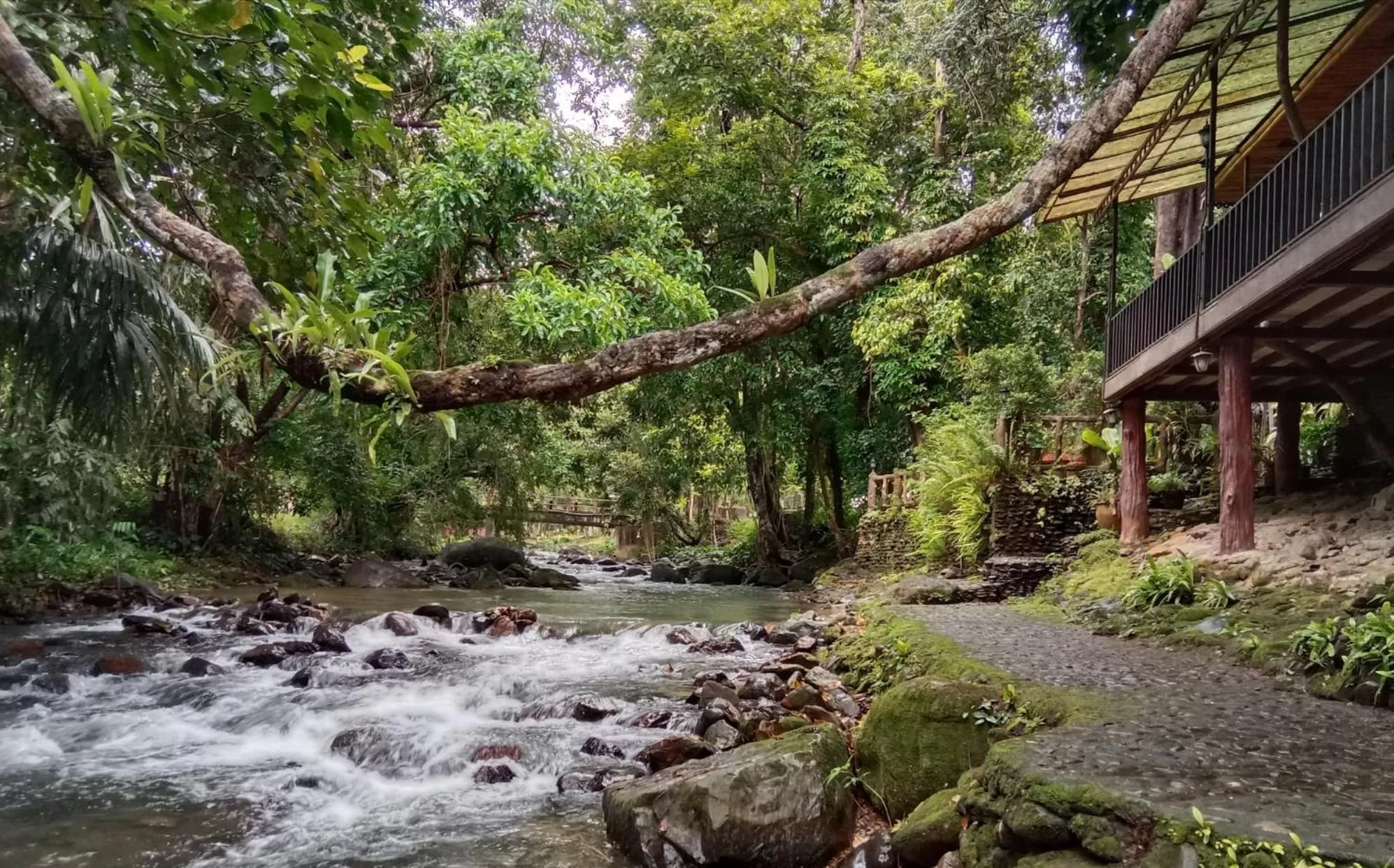 Tree Tops River Huts