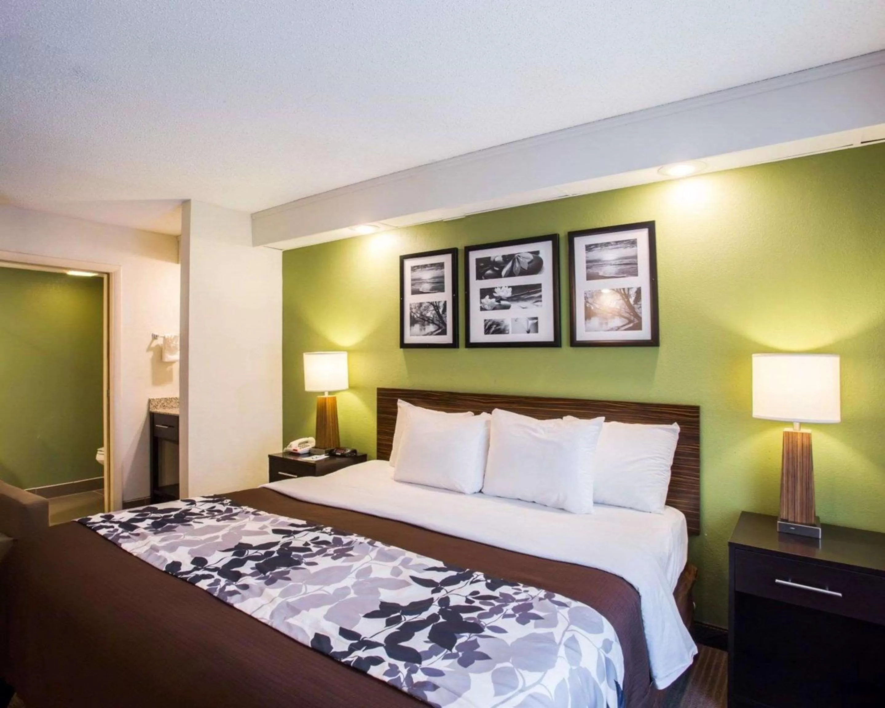 Photo of the whole room in Sleep Inn Nashville North - Downtown Area