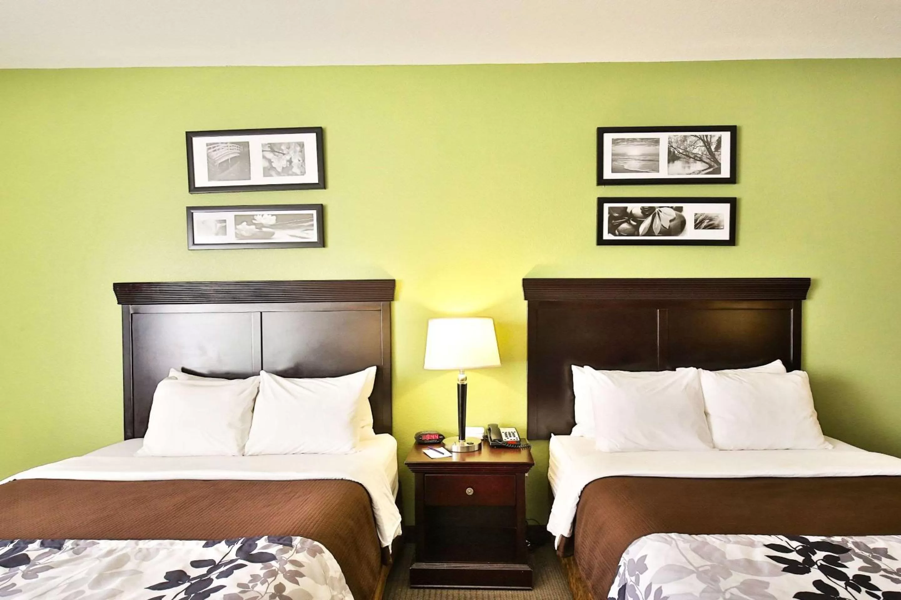 Photo of the whole room, Bed in Sleep Inn & Suites Abilene Near University