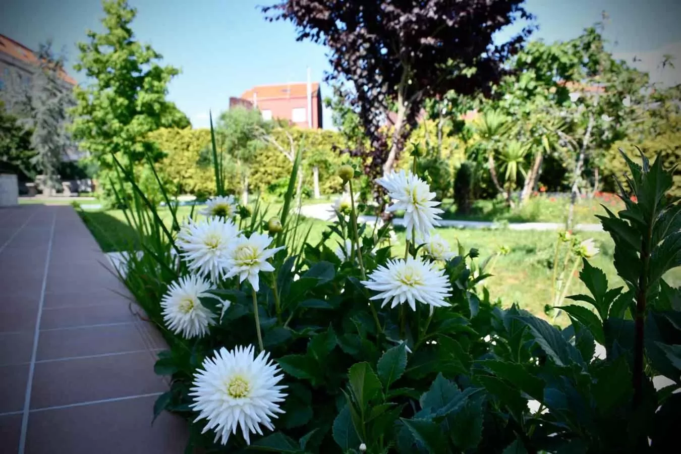 Property building in Pincheiro Apartamentos Turísticos