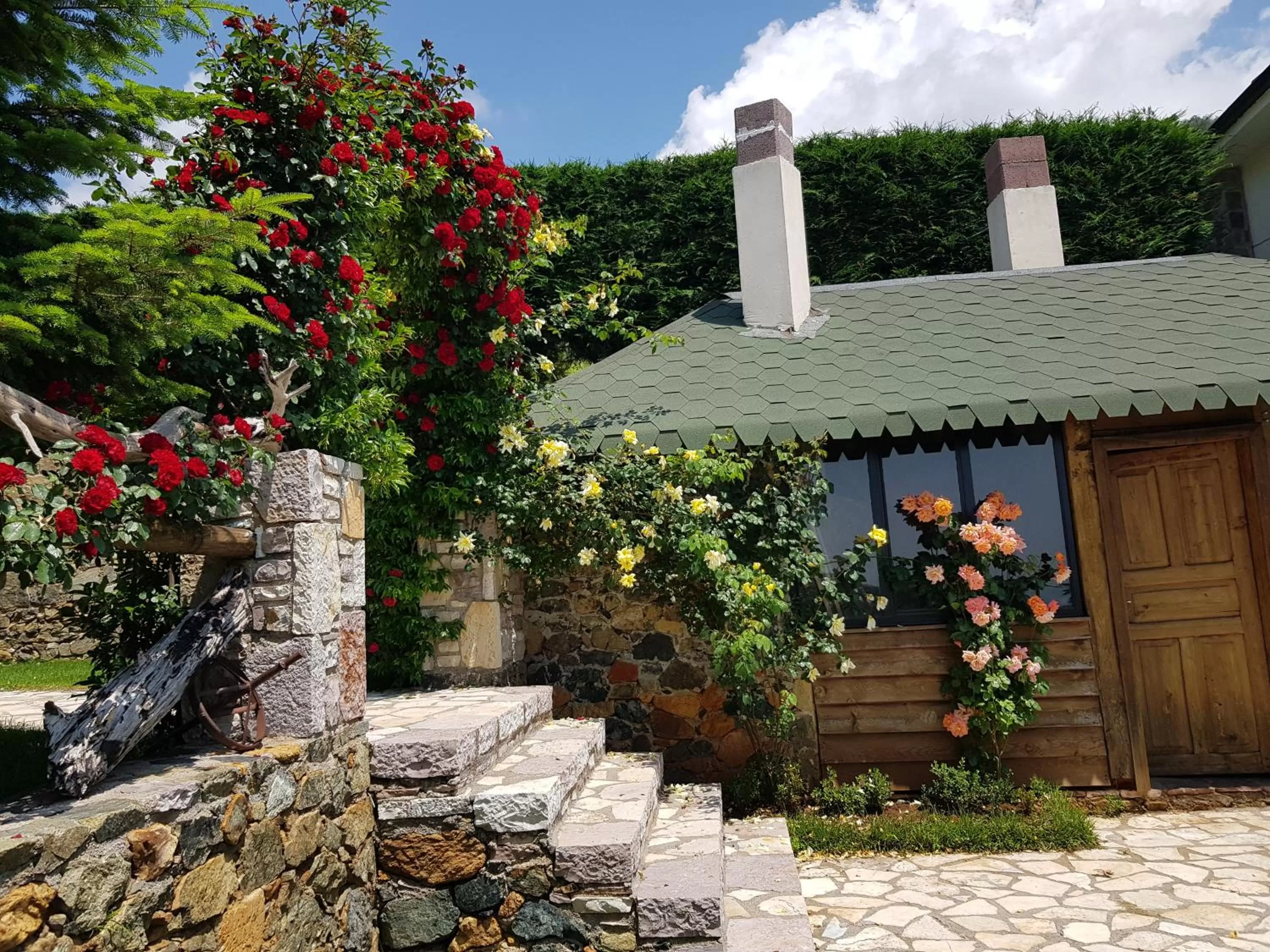 Property building in Sofra E Shpatit