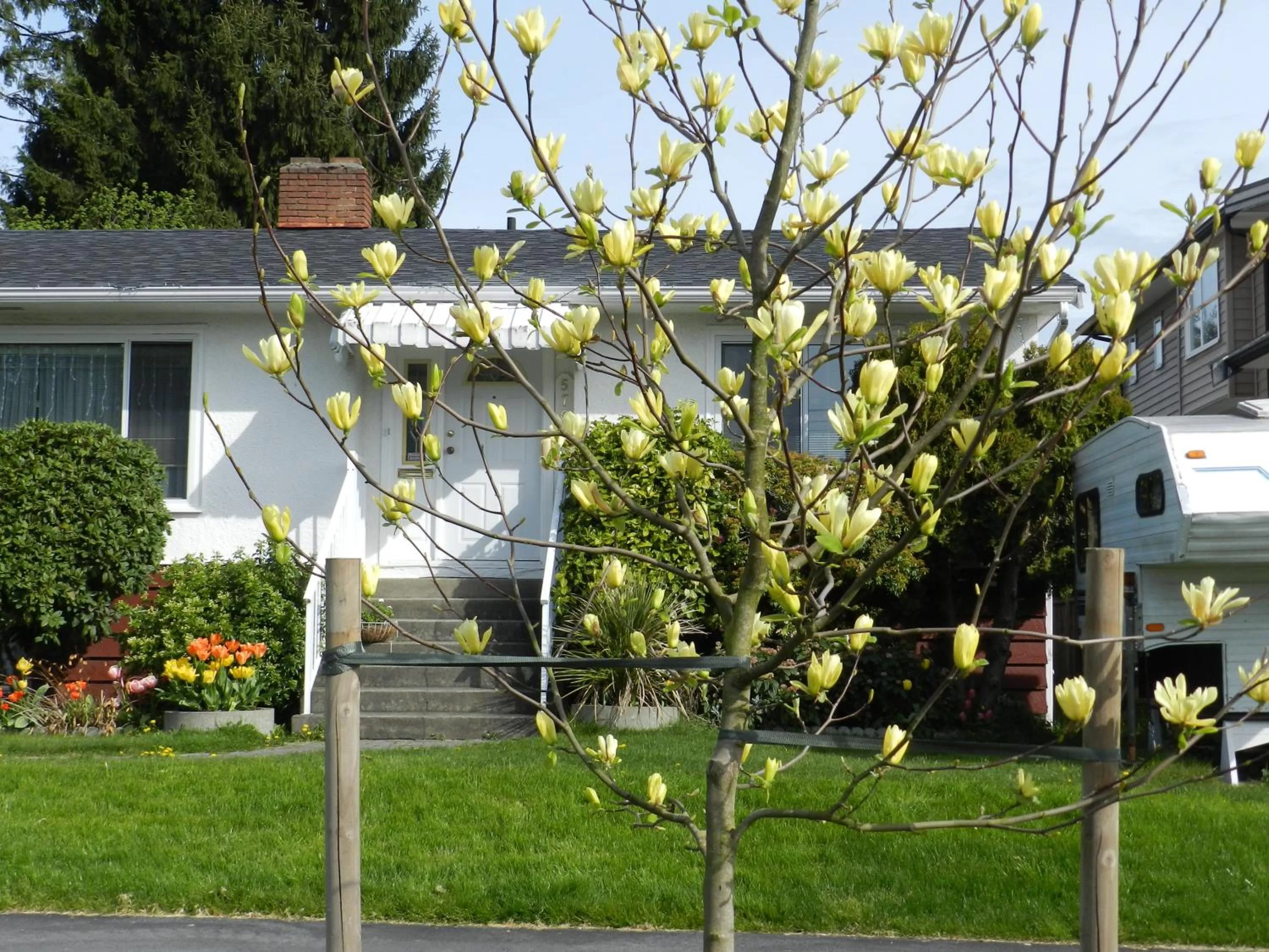 Street view, Garden in Serenity