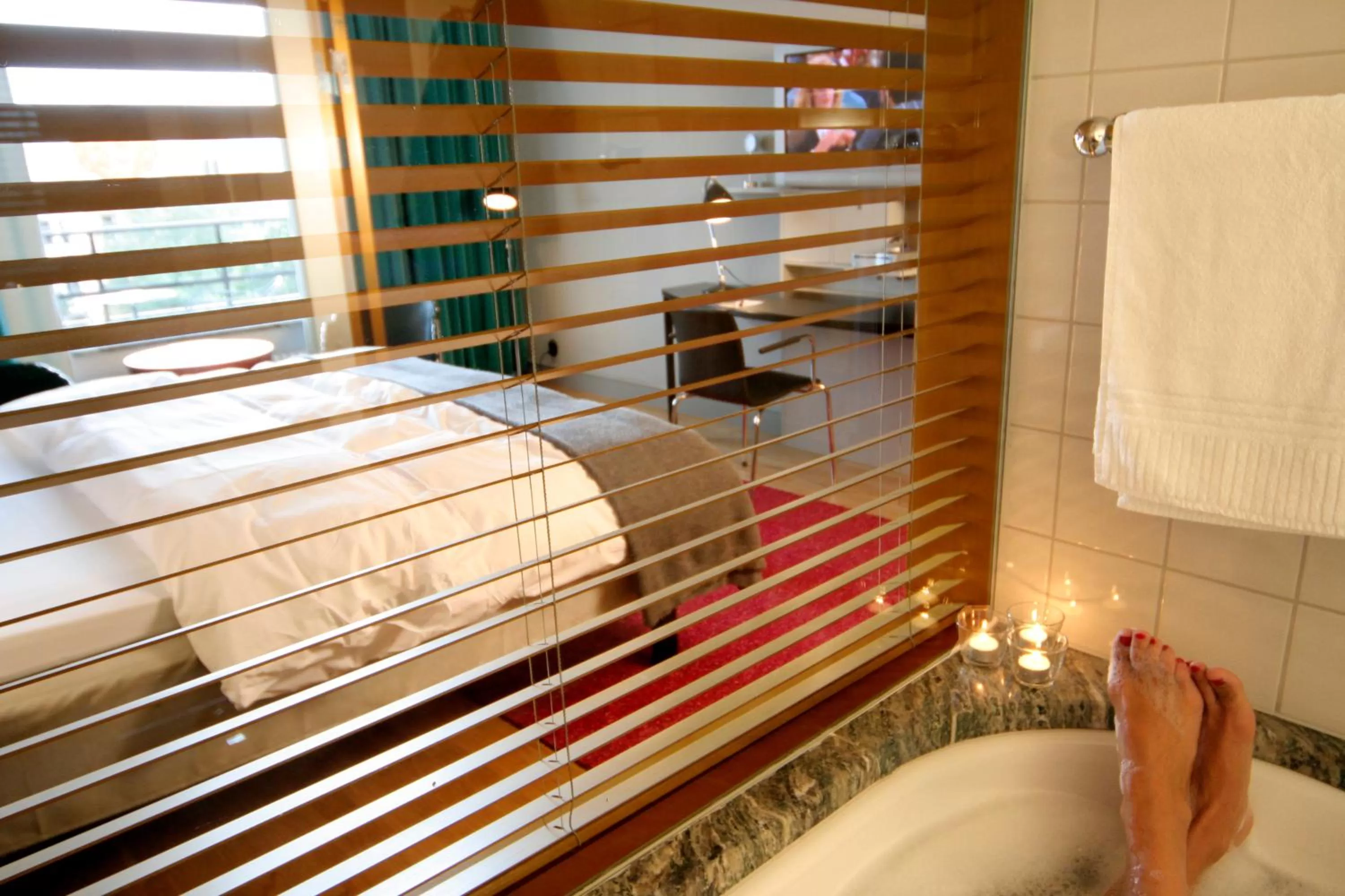 Photo of the whole room in Hotel Rival