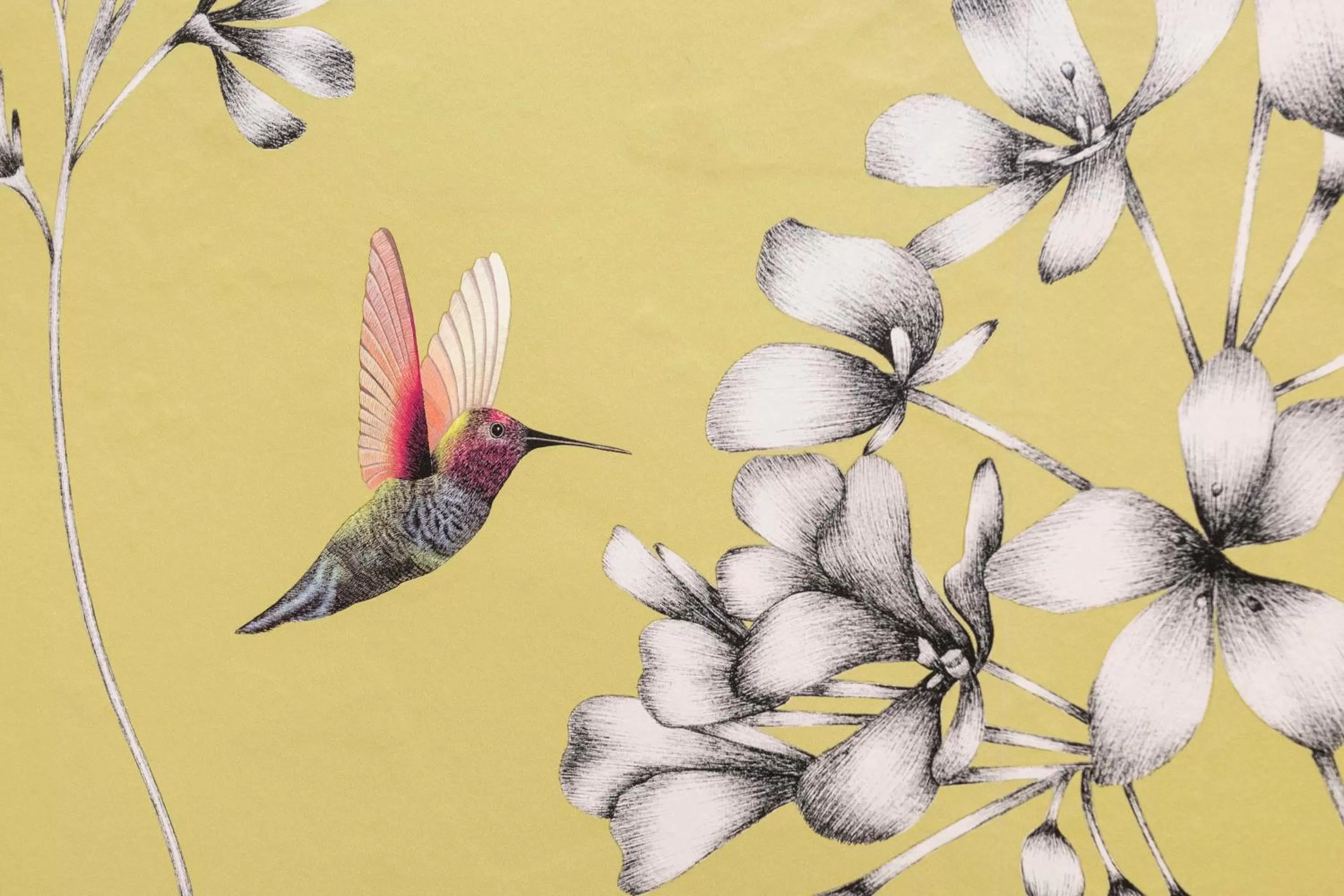 Decorative detail in Wisteria Hotel