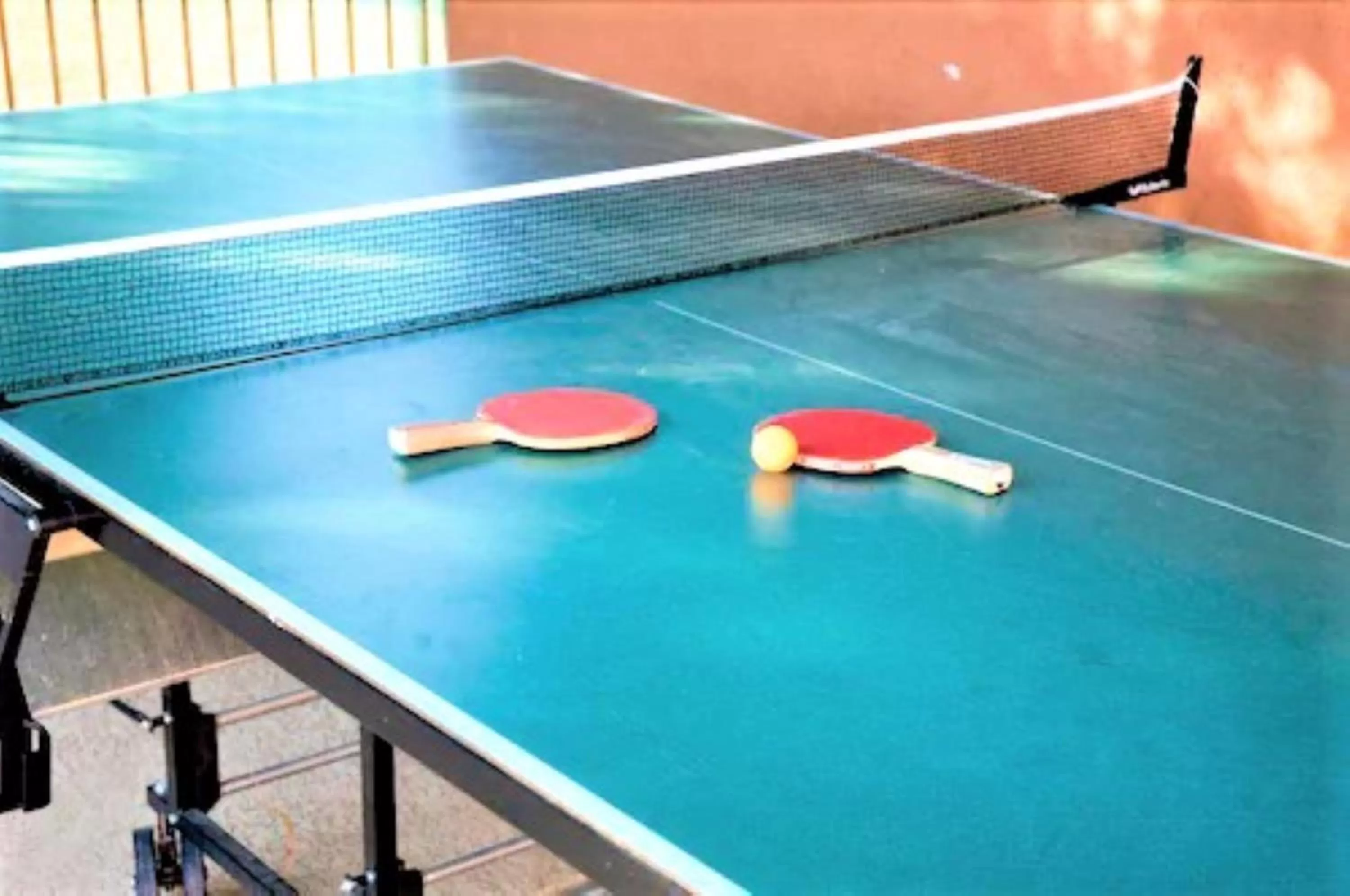 Table tennis in Sedona Pines Resort