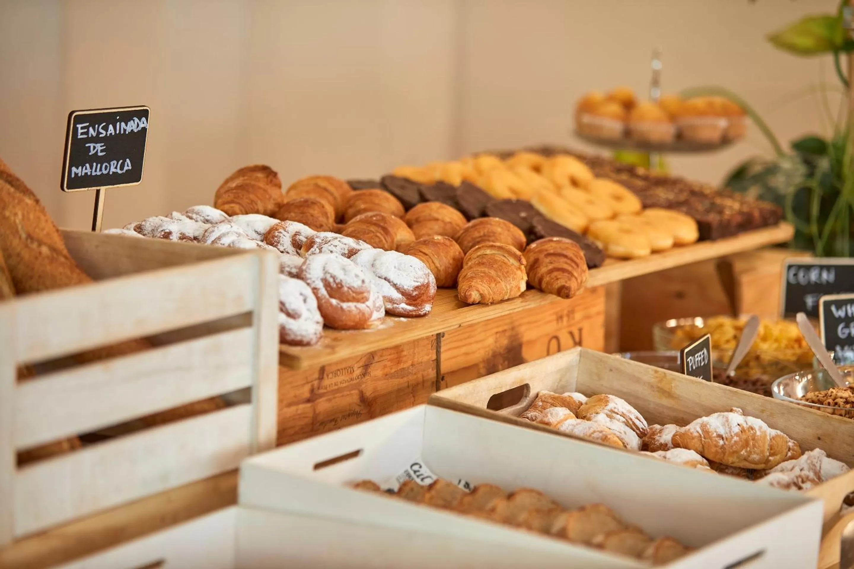 Food and drinks in Nura Santa Ponsa & Spa