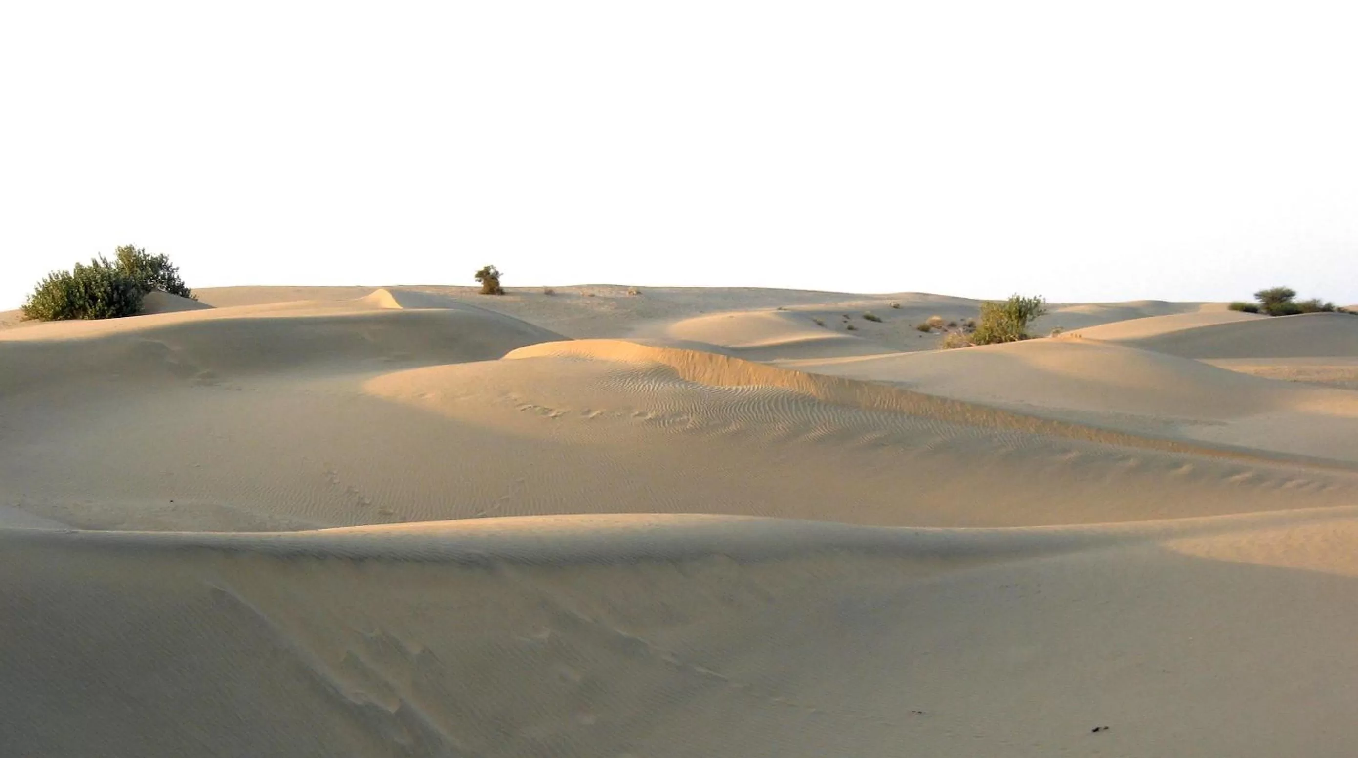 Natural landscape, Winter in Killa Bhawan