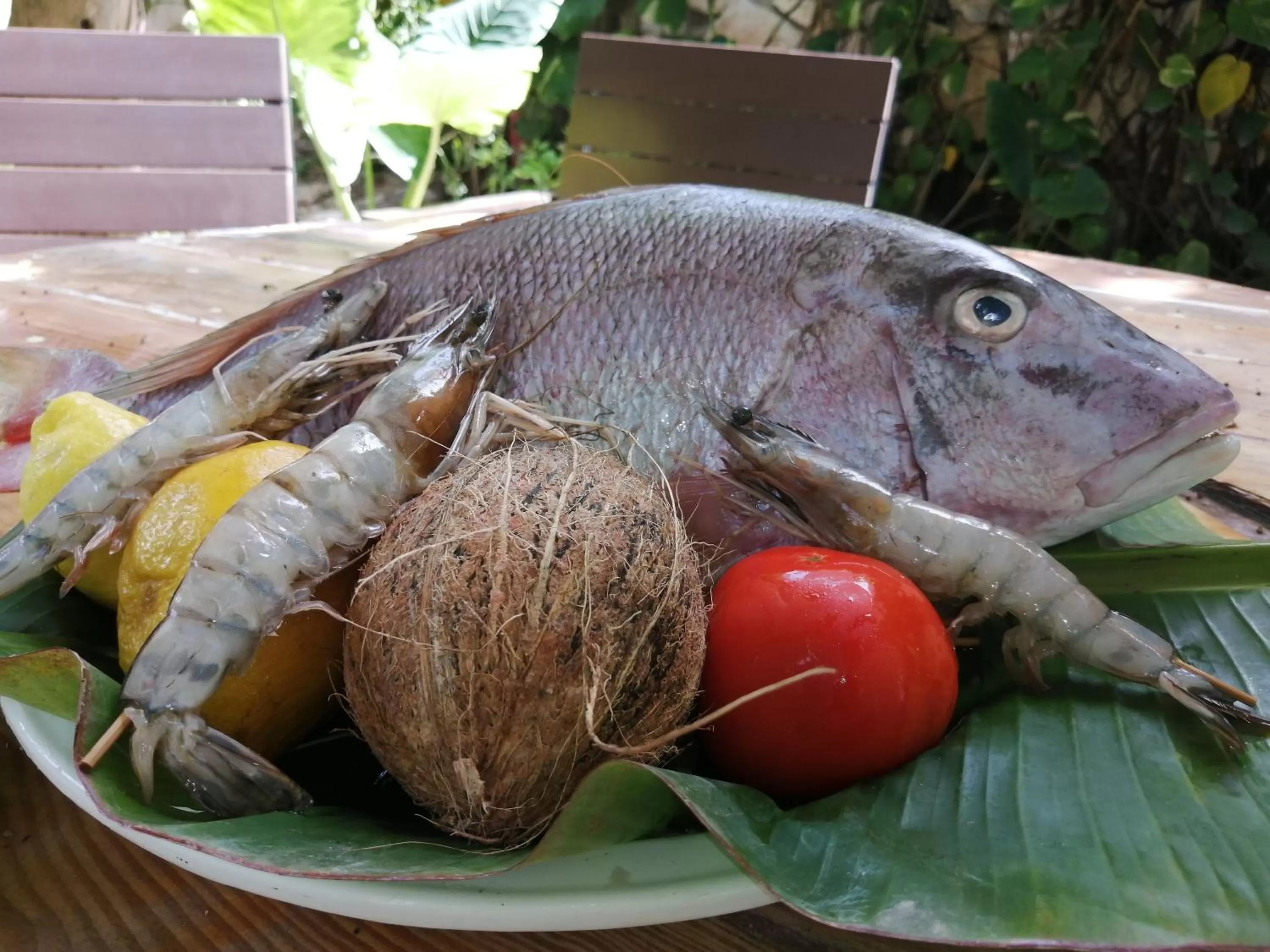 Food and drinks in Riviera Punta Cana Eco Travelers