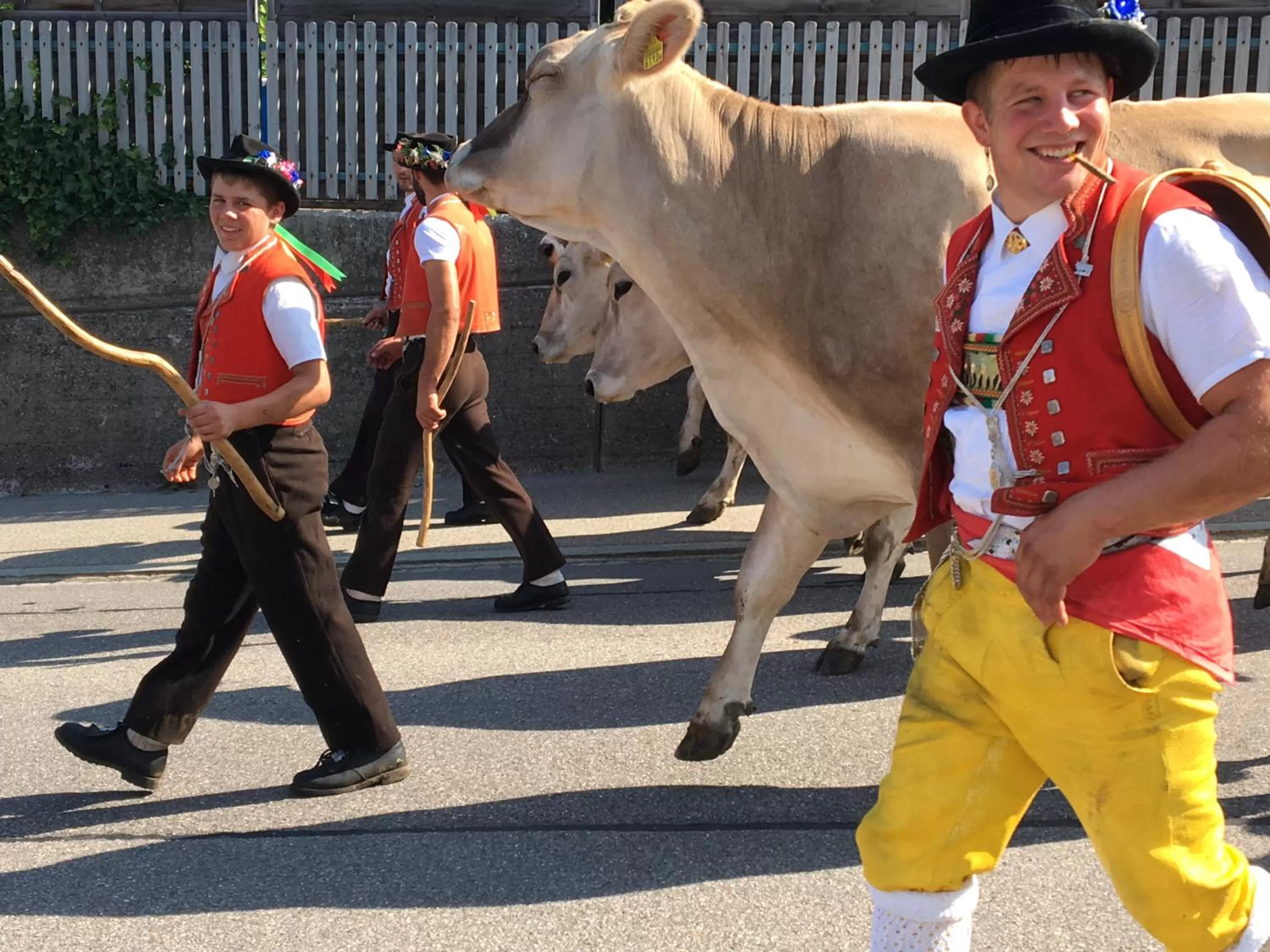 Activities in BnB-Blomberg