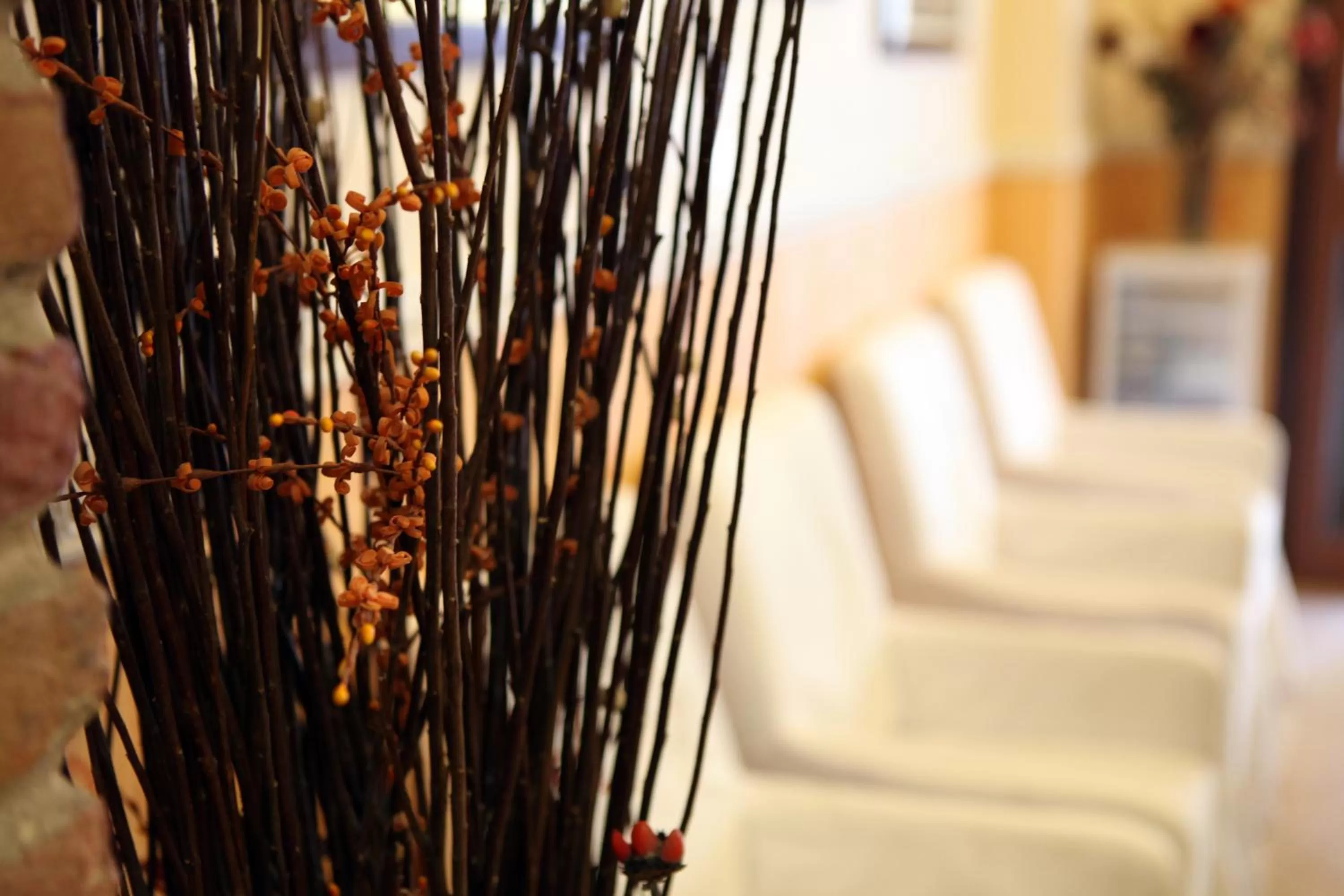 Lobby or reception in Hotel Hollywood