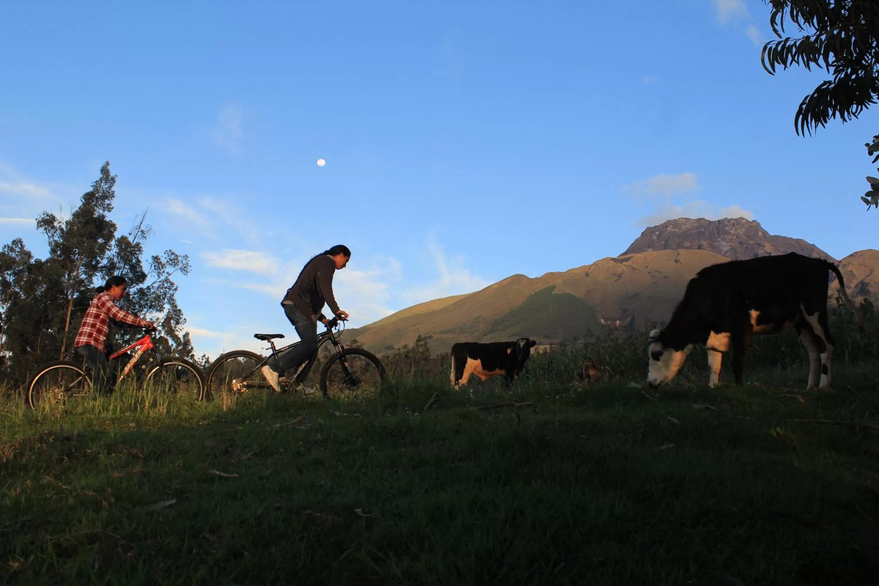 Cycling, Horseback Riding in El Tio Hostal