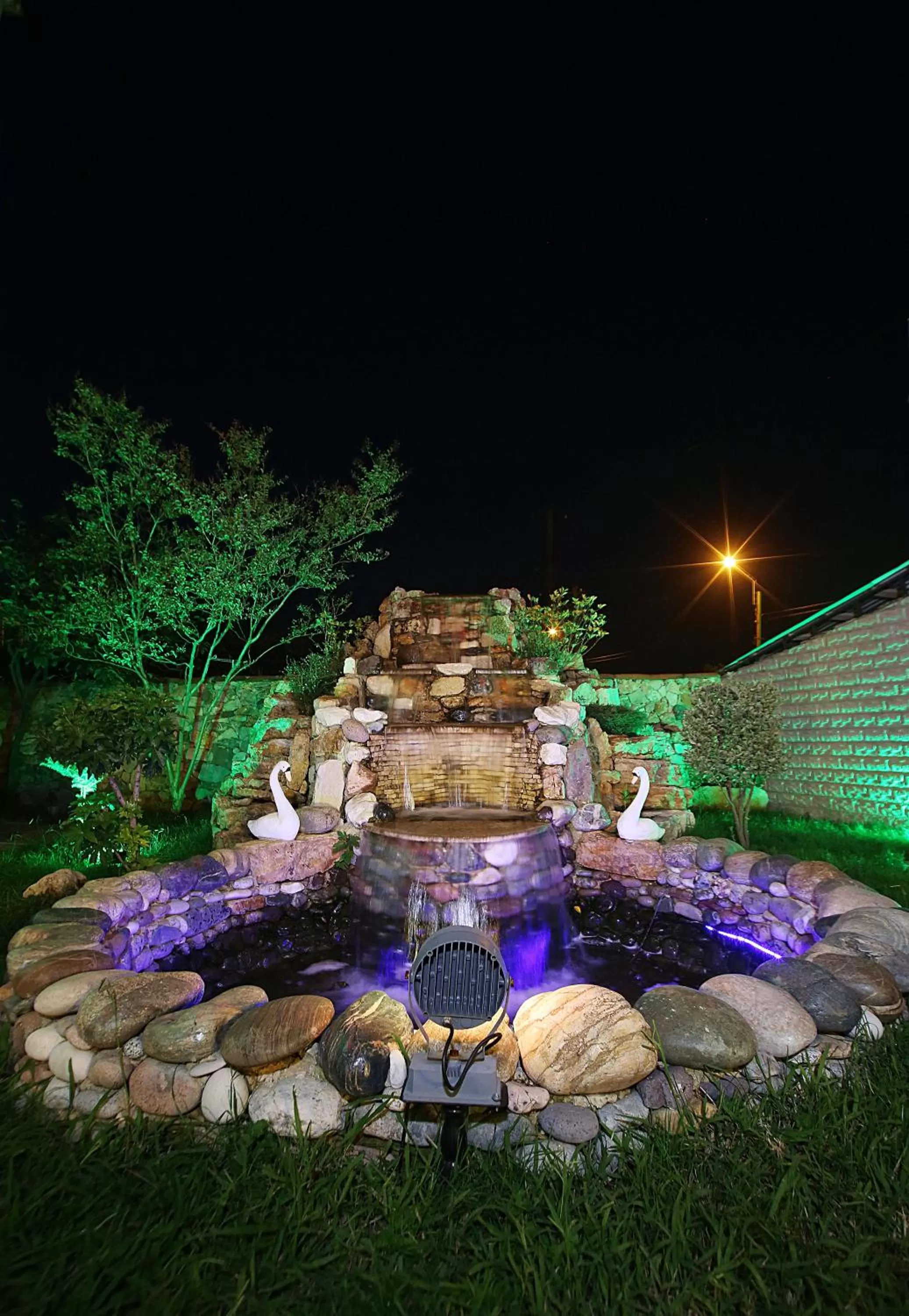 Garden view in Hotel Harmony