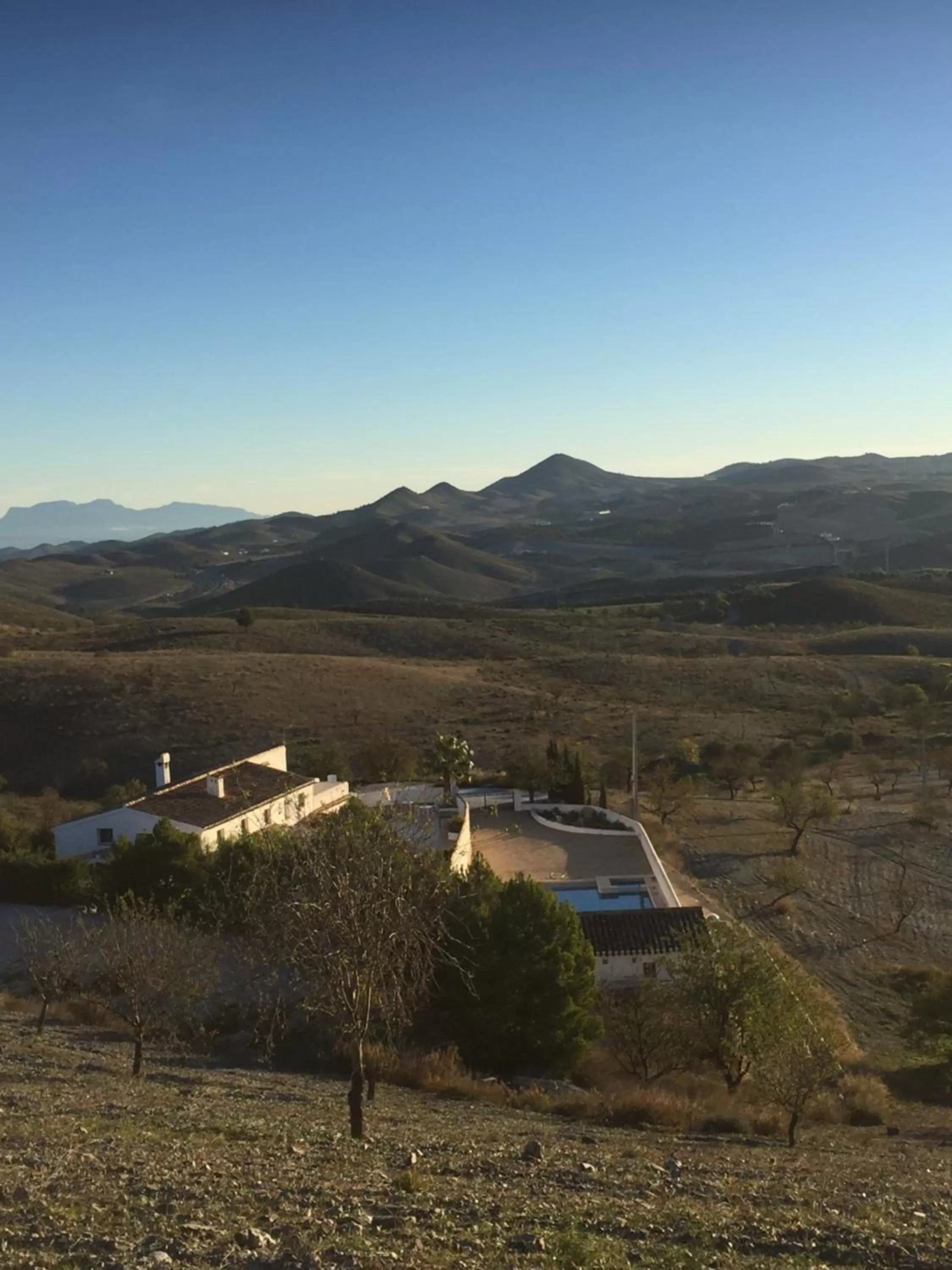 Las Persianas Azules