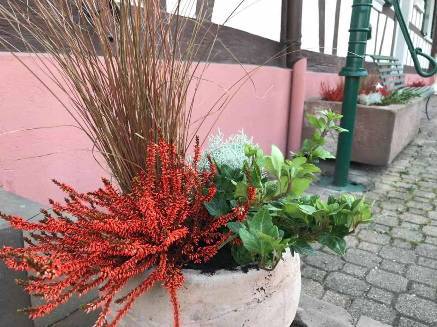 View (from property/room) in Maison d'hôtes Aux Deux Cigognes