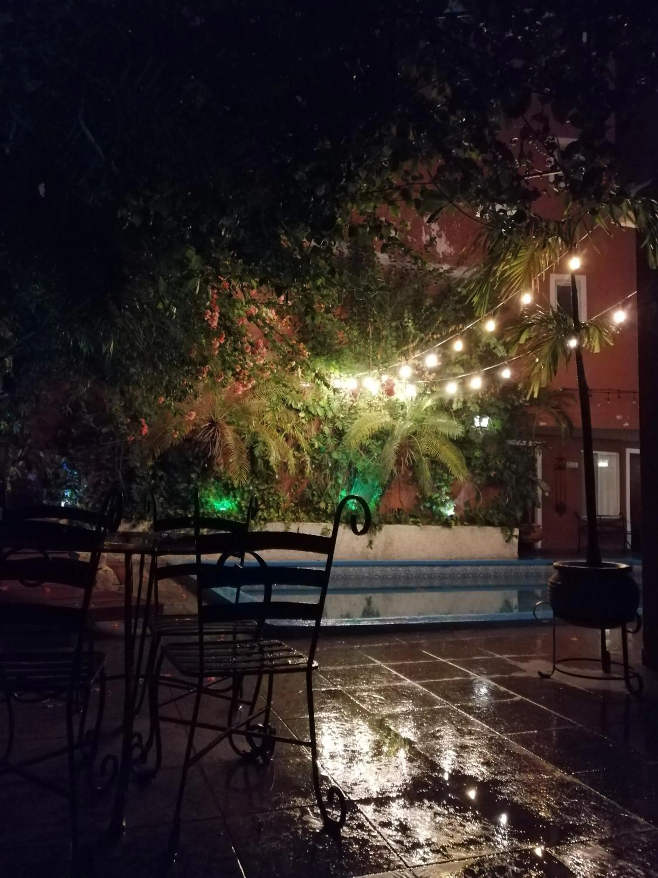 Patio in Hotel Reforma