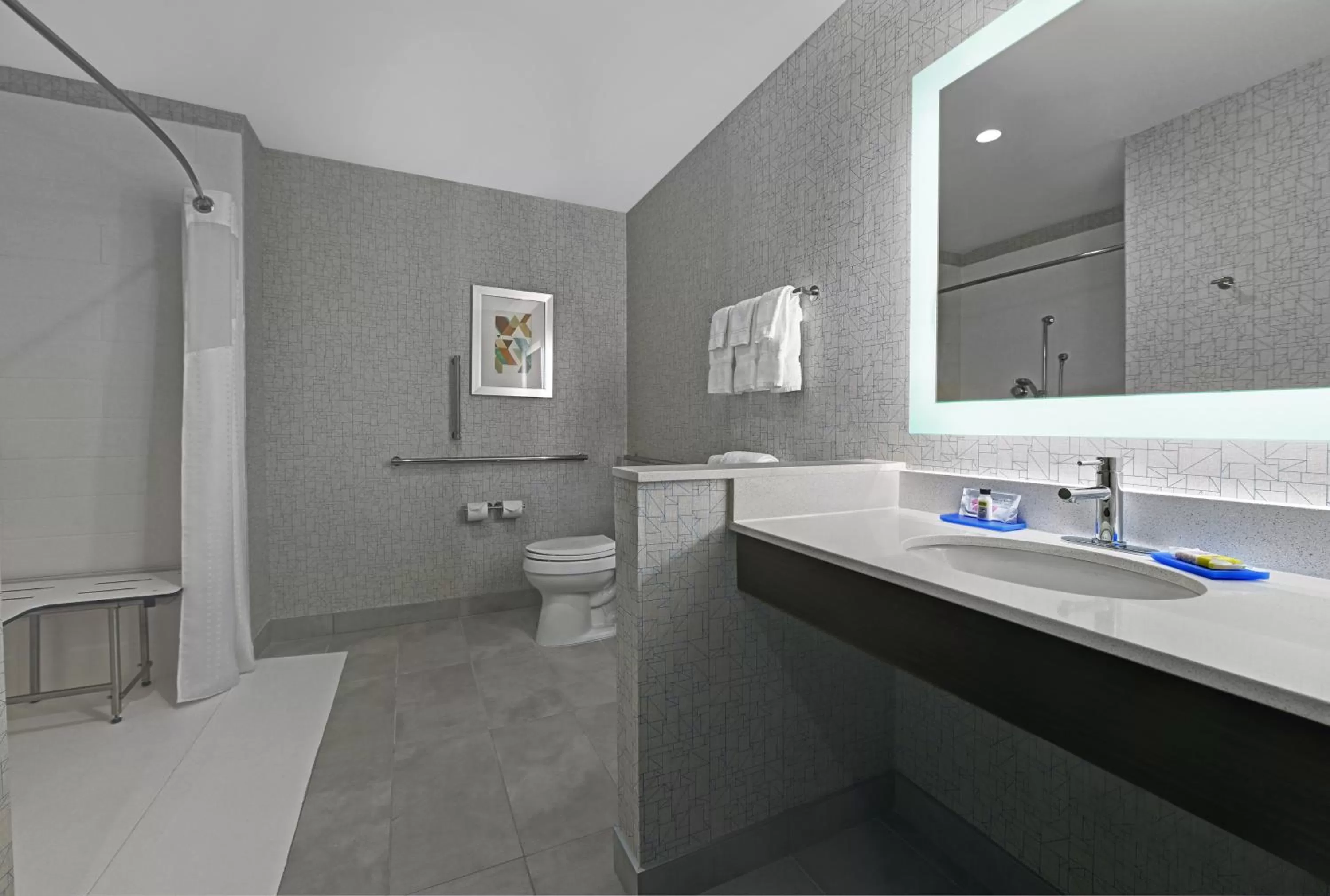 Bathroom in Holiday Inn Express & Suites Memorial – CityCentre by IHG