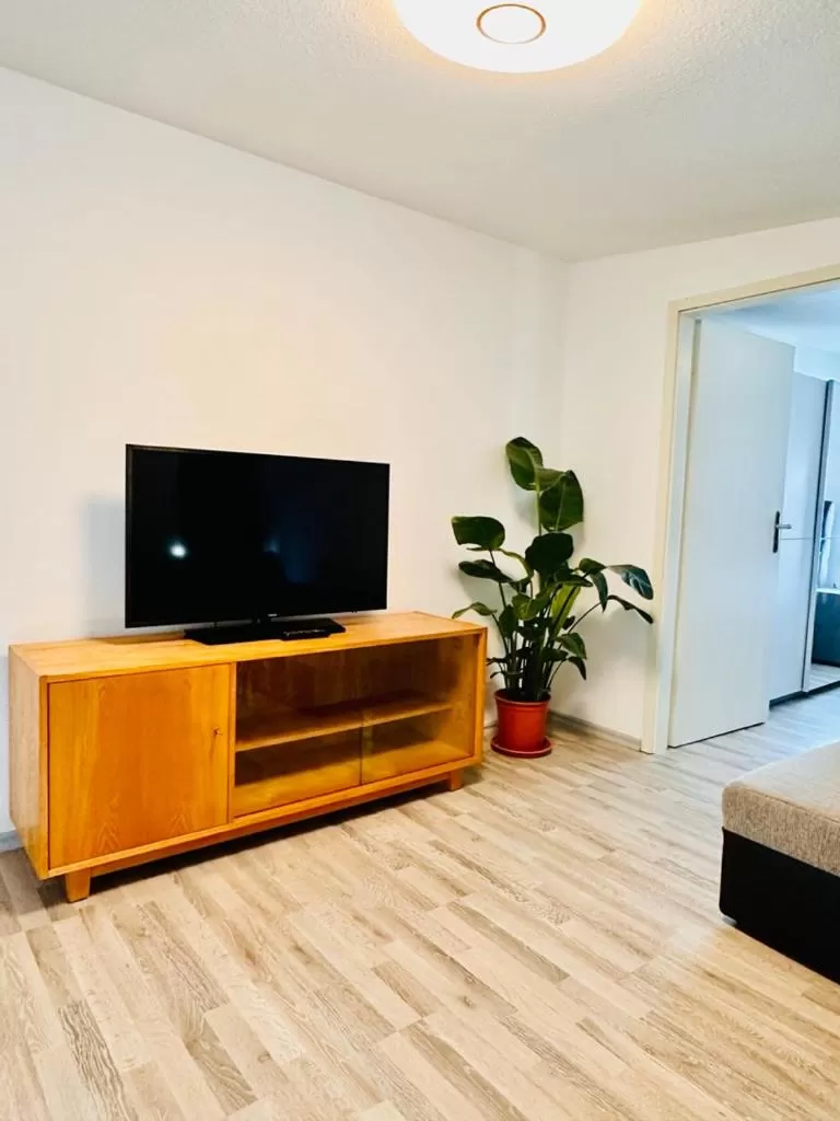 TV/Entertainment Center in Saale, Marktplatz Zentrum, Apartmenthaus am Dom von Plant Room