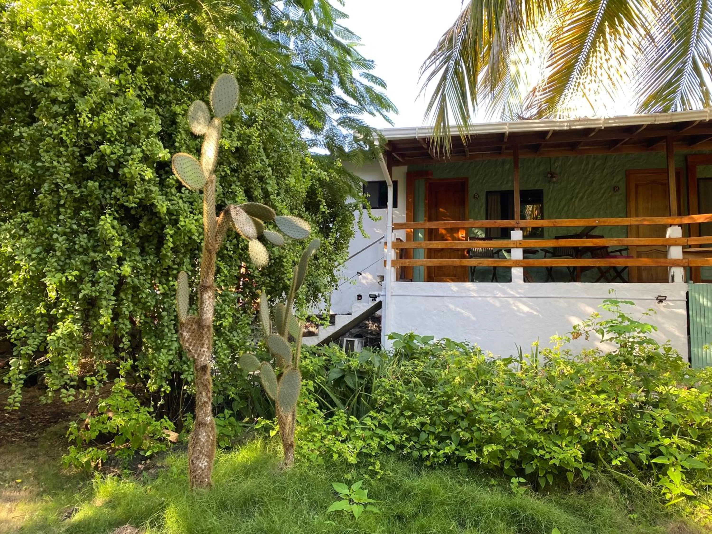 Balcony/Terrace, Property Building in La Peregrina Galapagos B&B