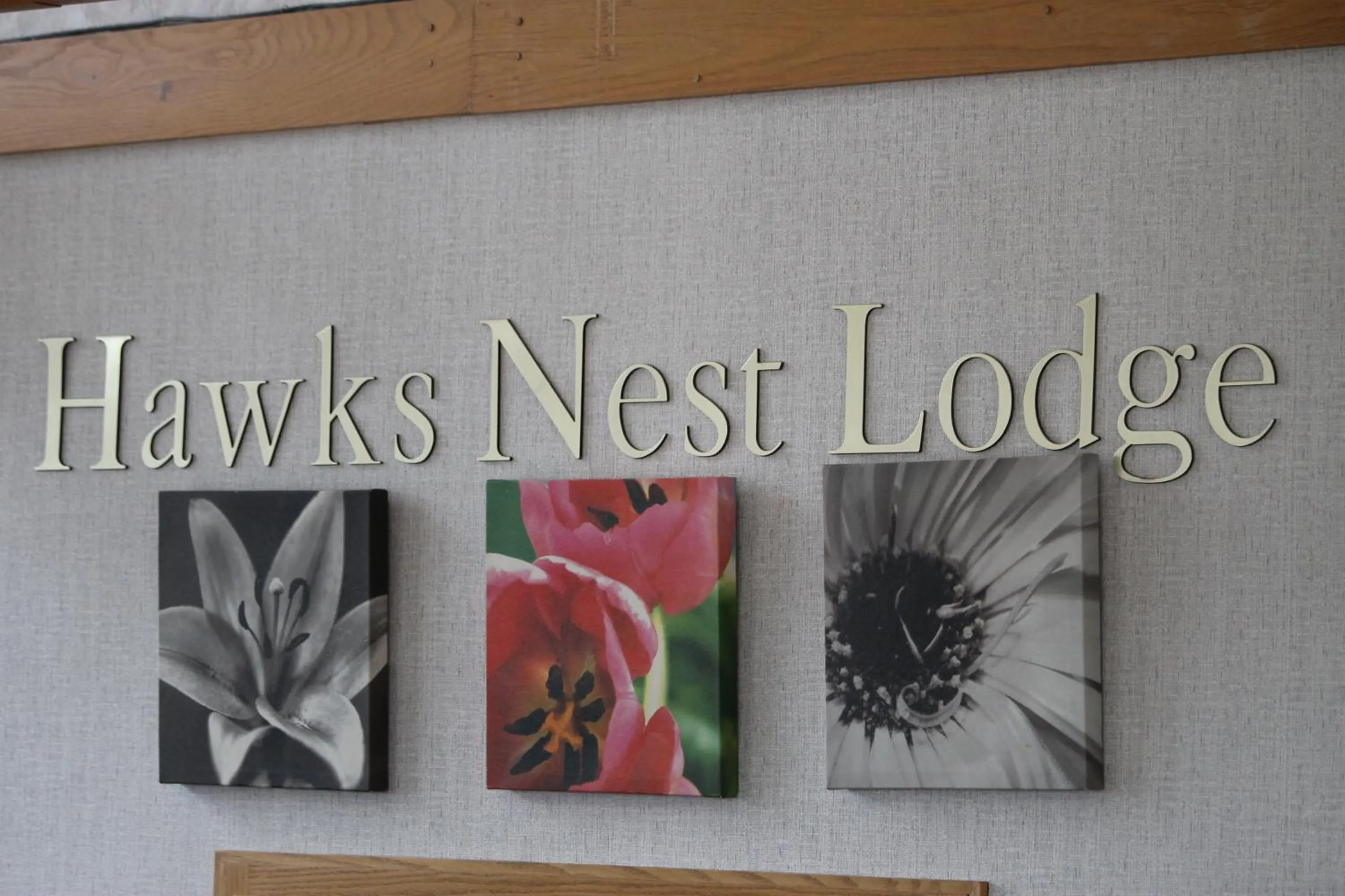 Lobby or reception in Hawk's Nest Lodge