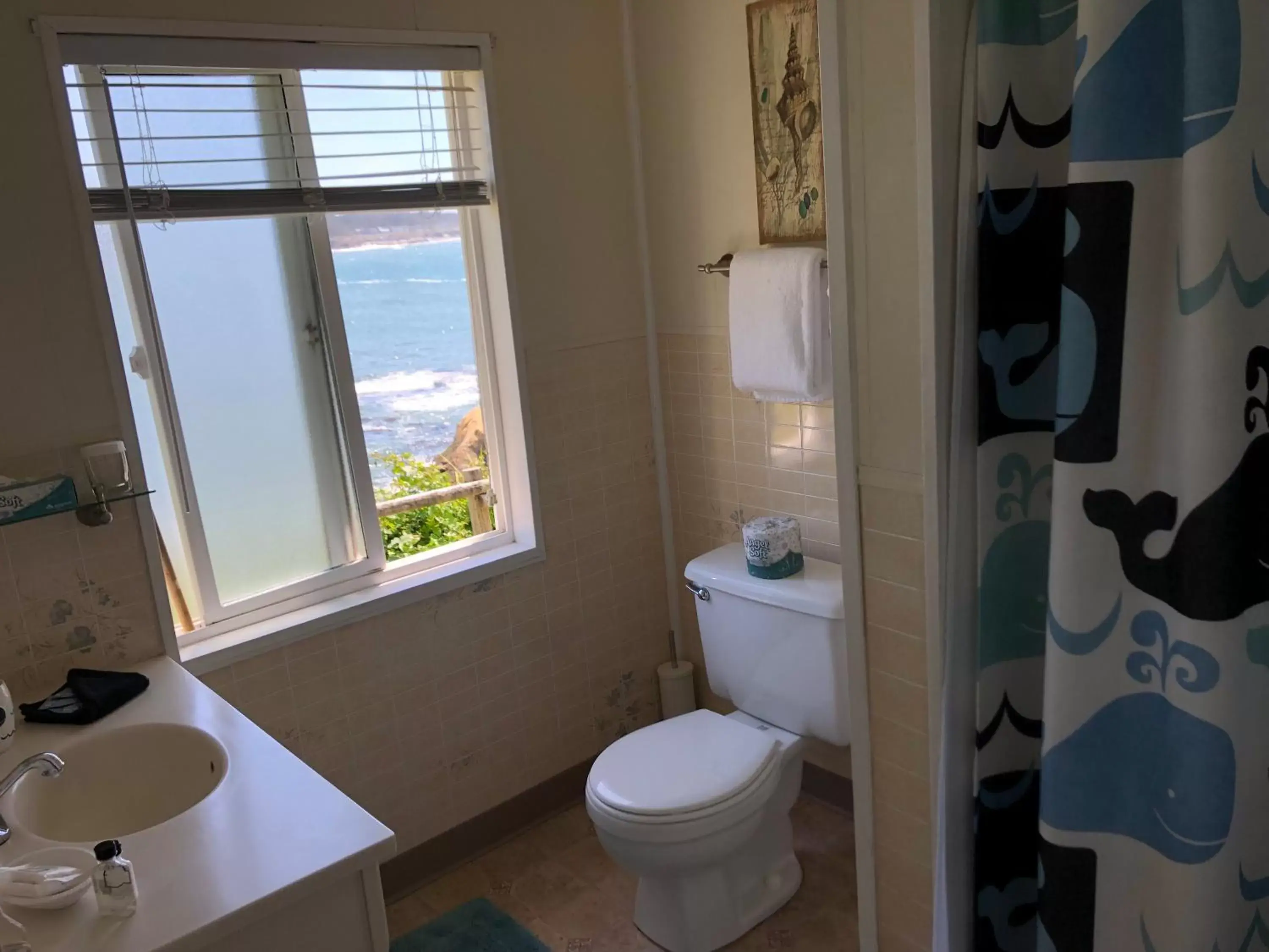 Queen Room with Sea View in Inn at Arch Rock Queen Room with Sea View in Inn at Arch Rock