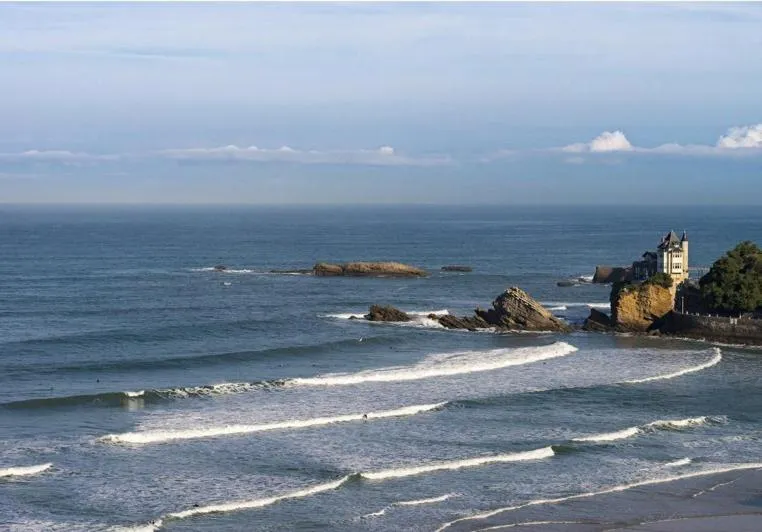 Area and facilities in Hôtel VAL FLORES LOGIS