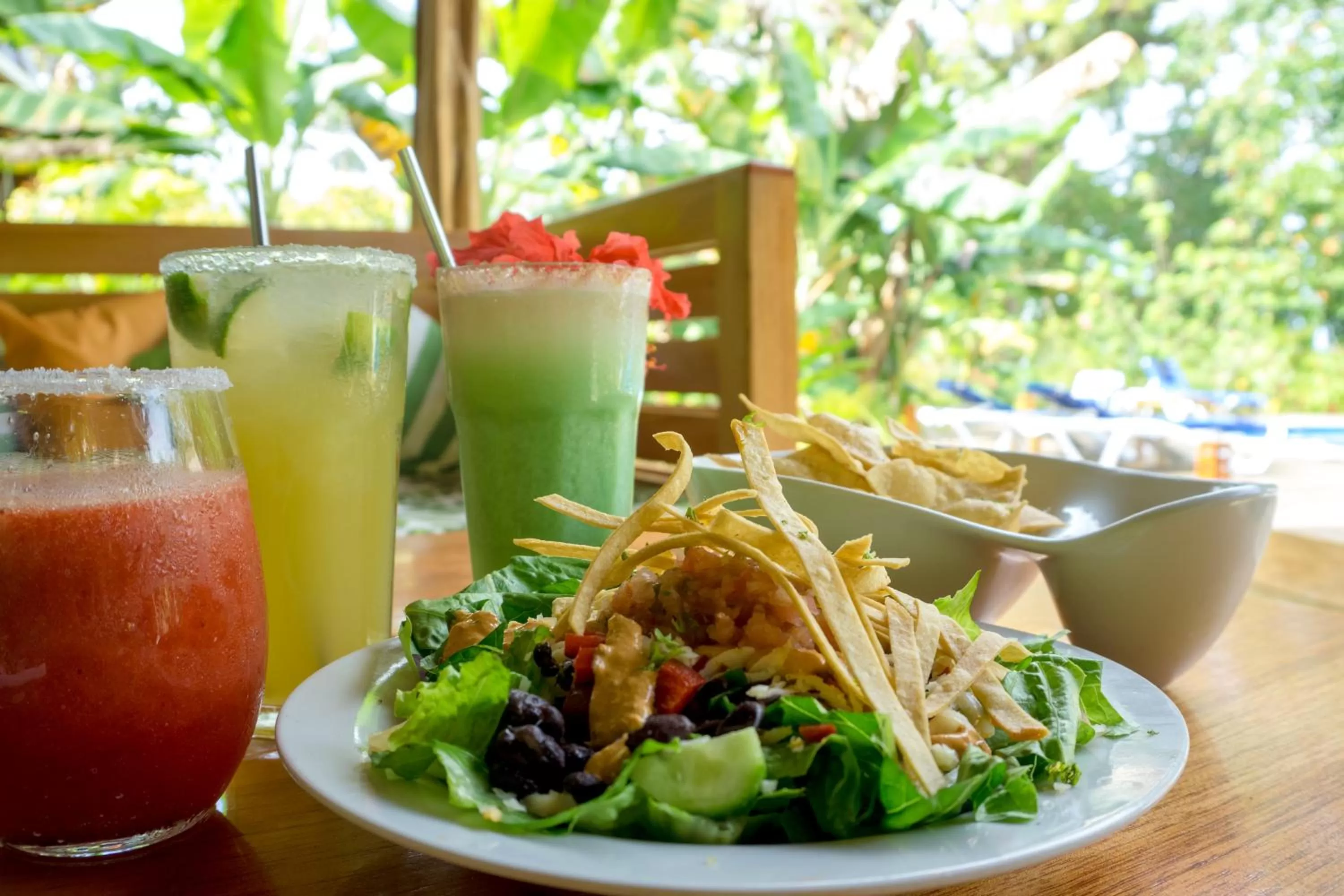 Balcony/Terrace in The Hummingbird