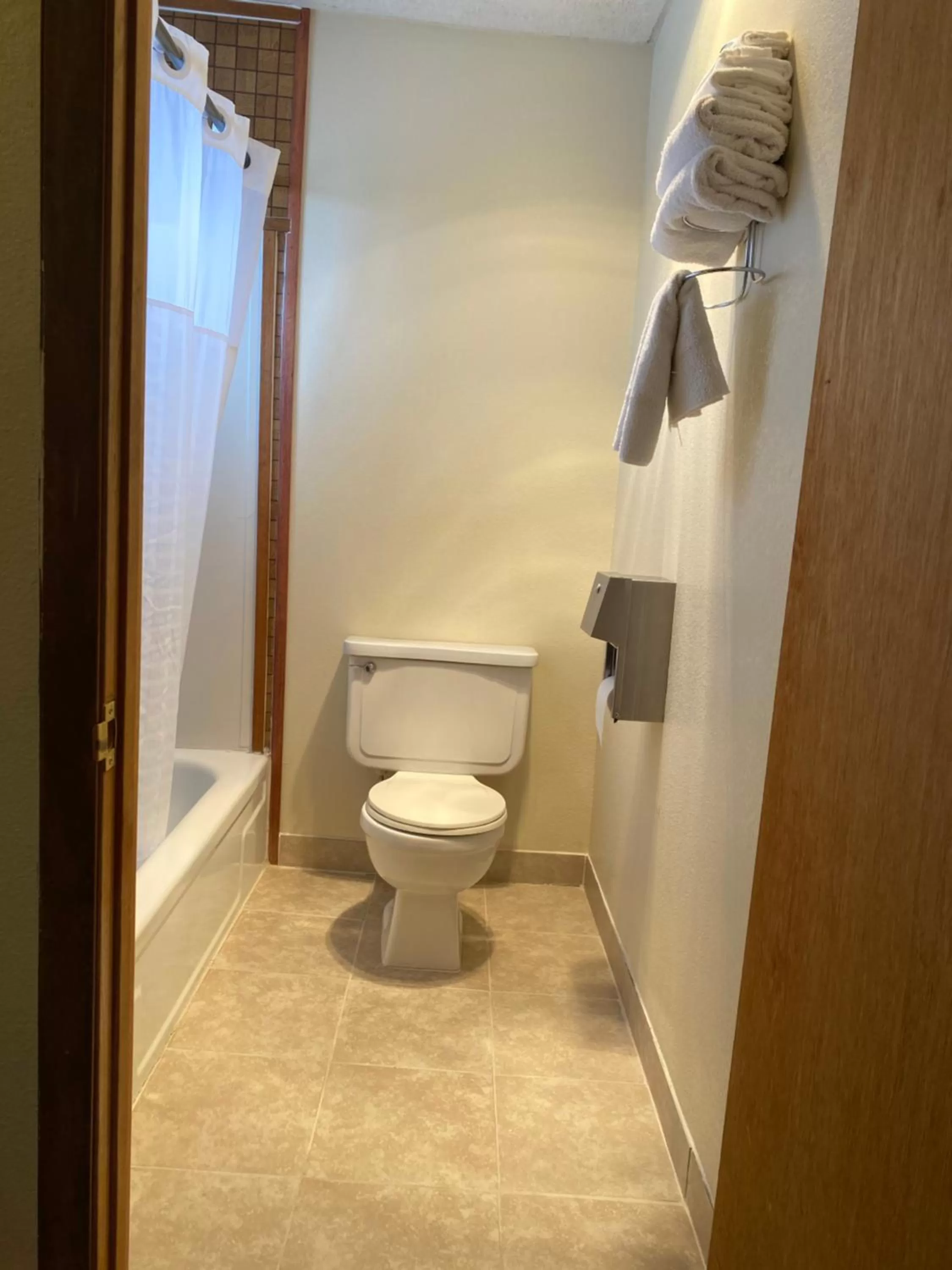 Bathroom in Budget Inn Las Vegas New Mexico