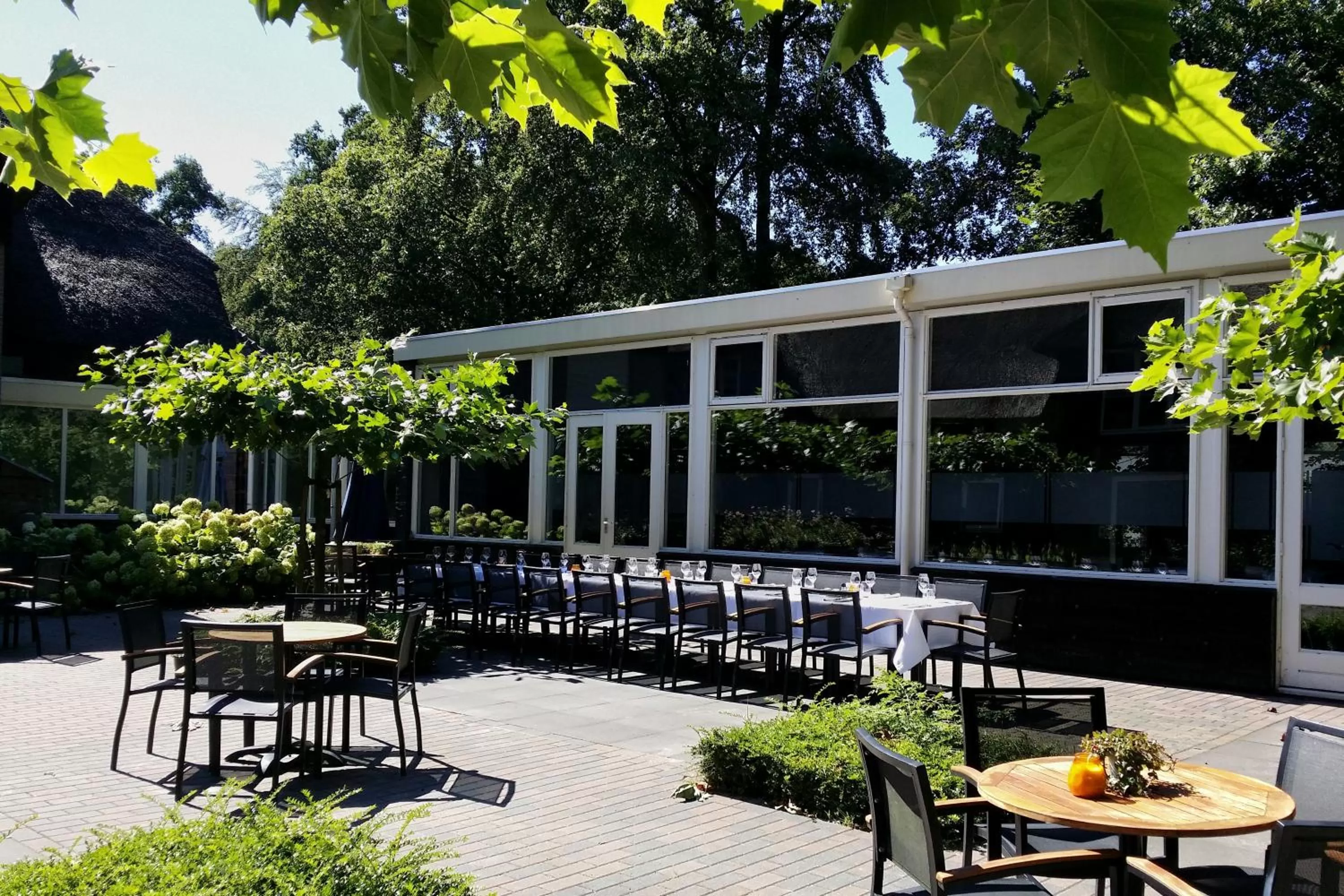 Balcony/Terrace in Landgoedhotel Woodbrooke Barchem