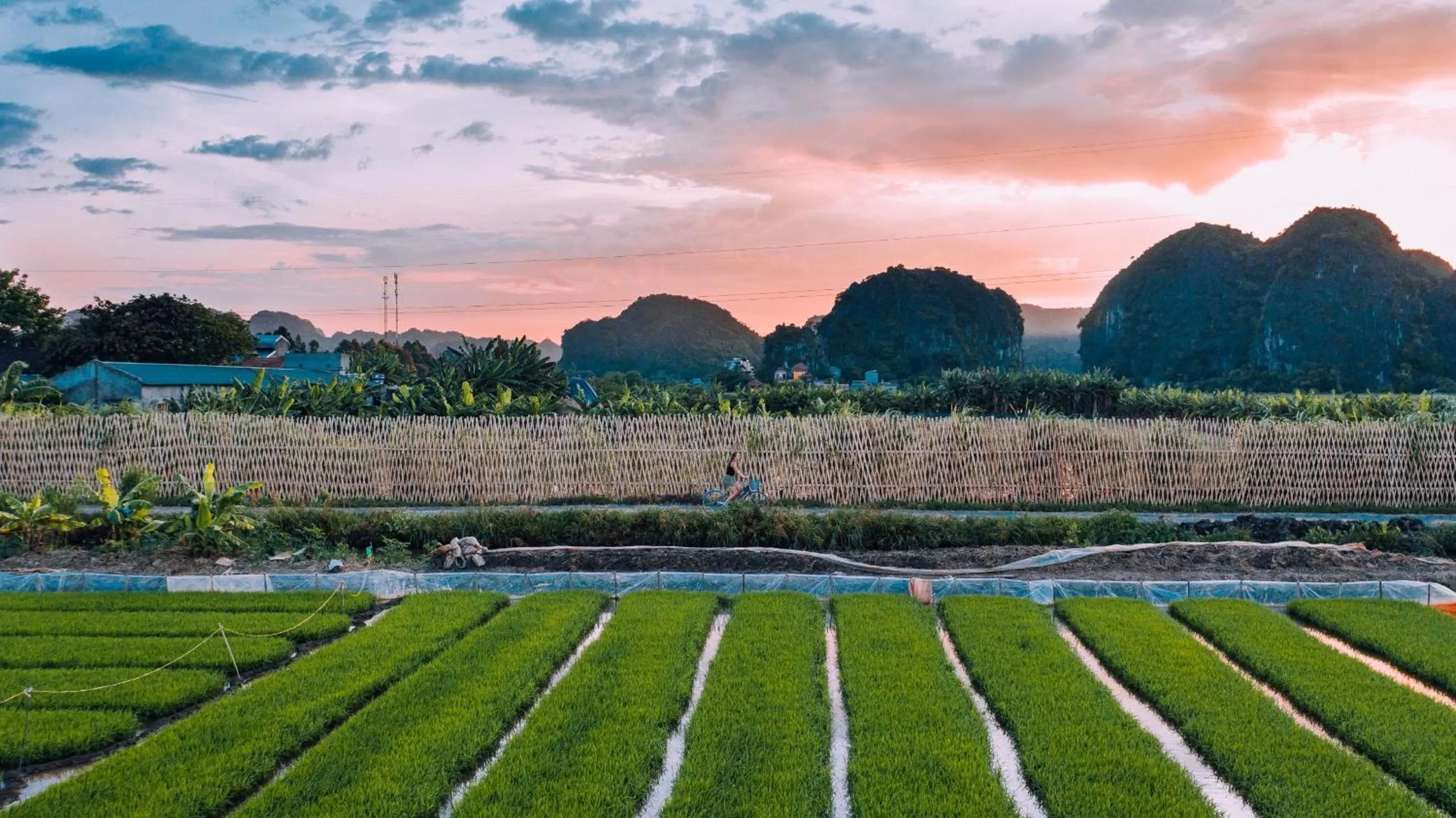 Mua Caves Ecolodge (Hang Mua)