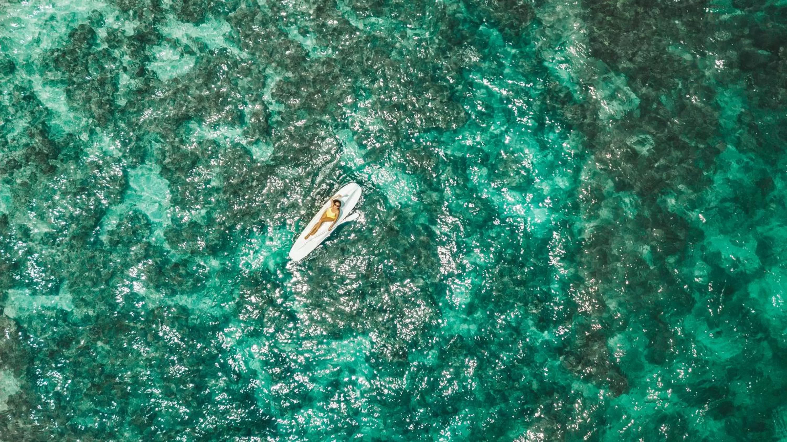 Activities in NusaBay Menjangan