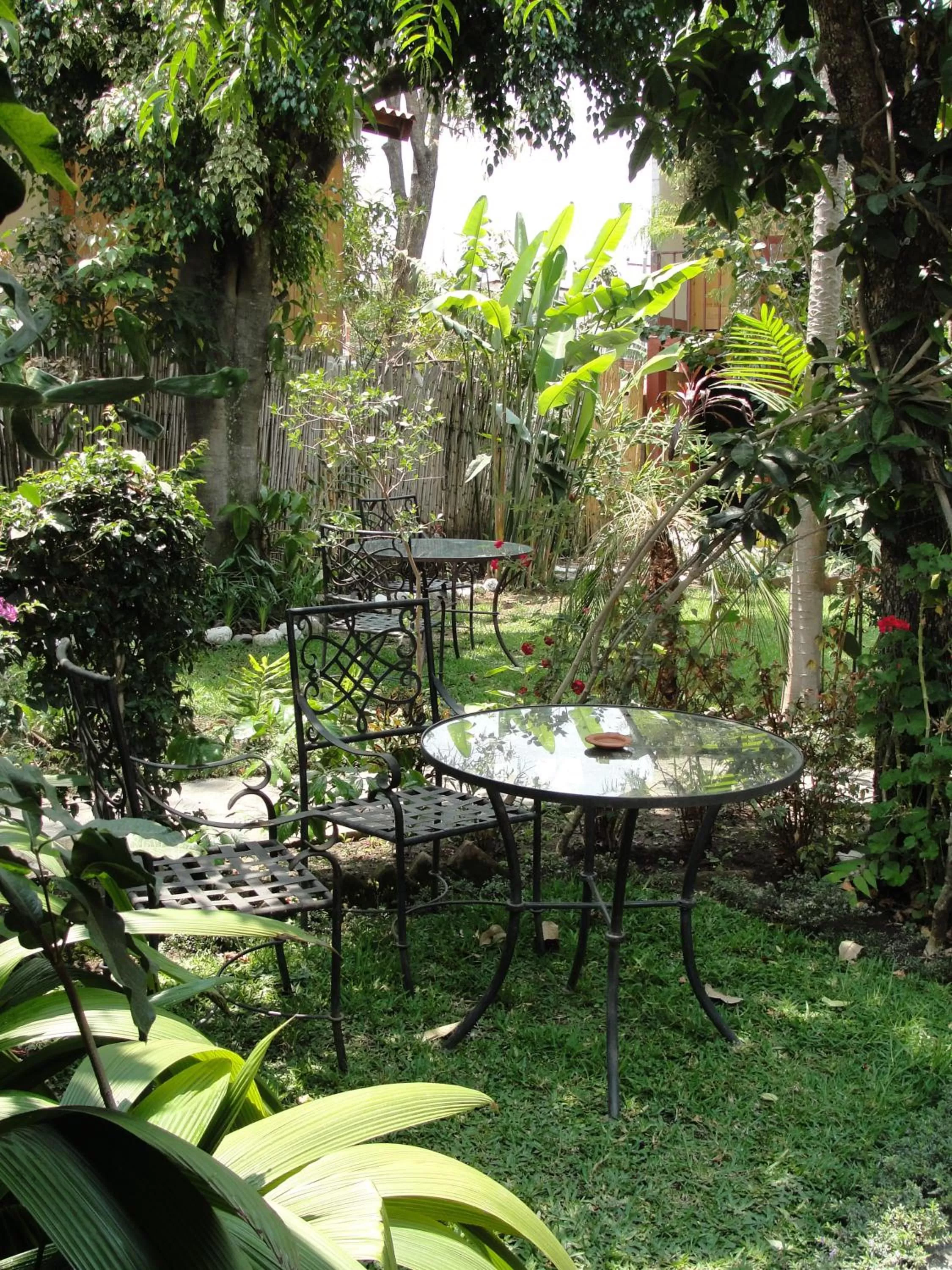Garden in Hotel Utz Jay