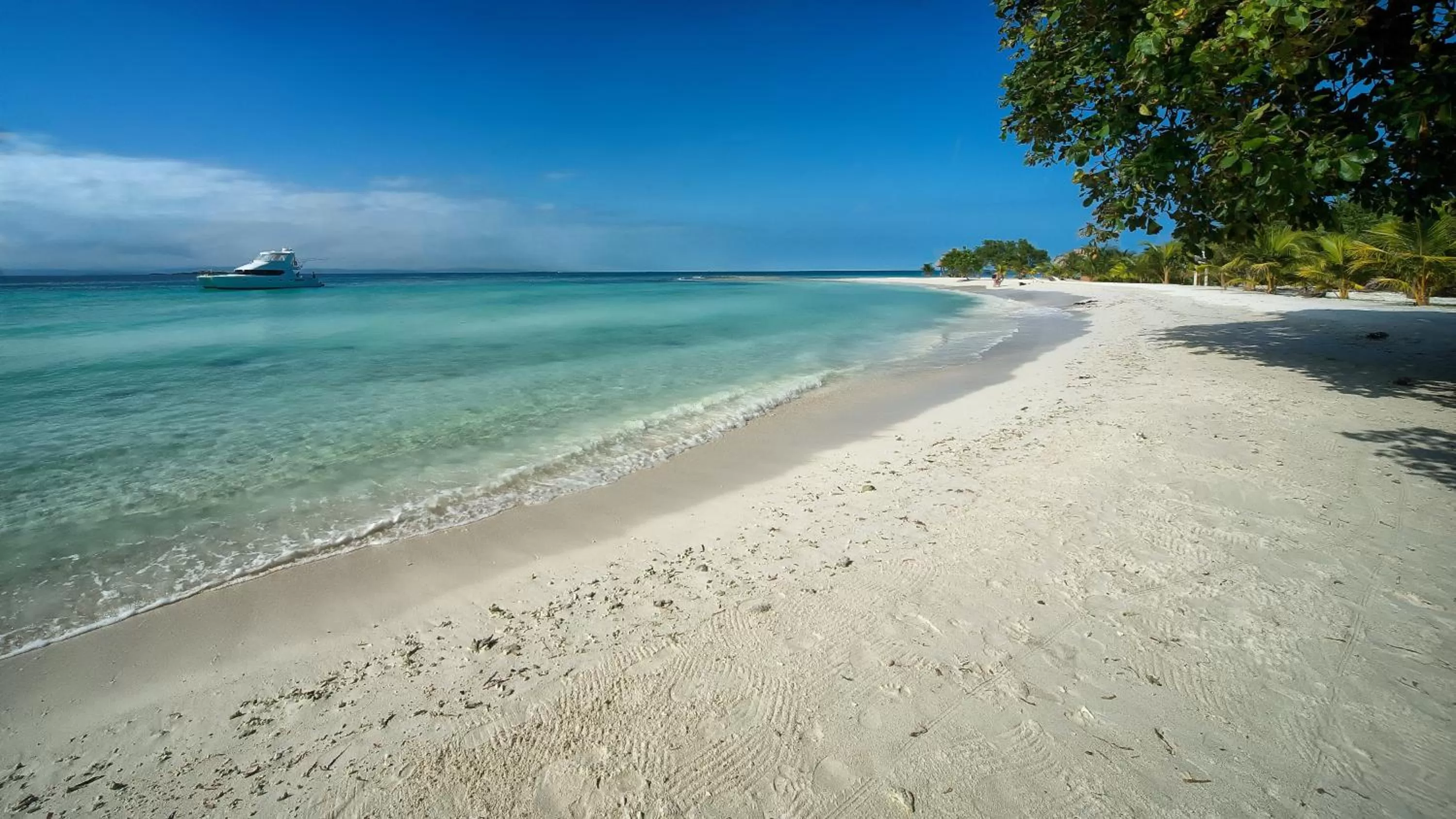 Fishing, Beach in Wild Orchid