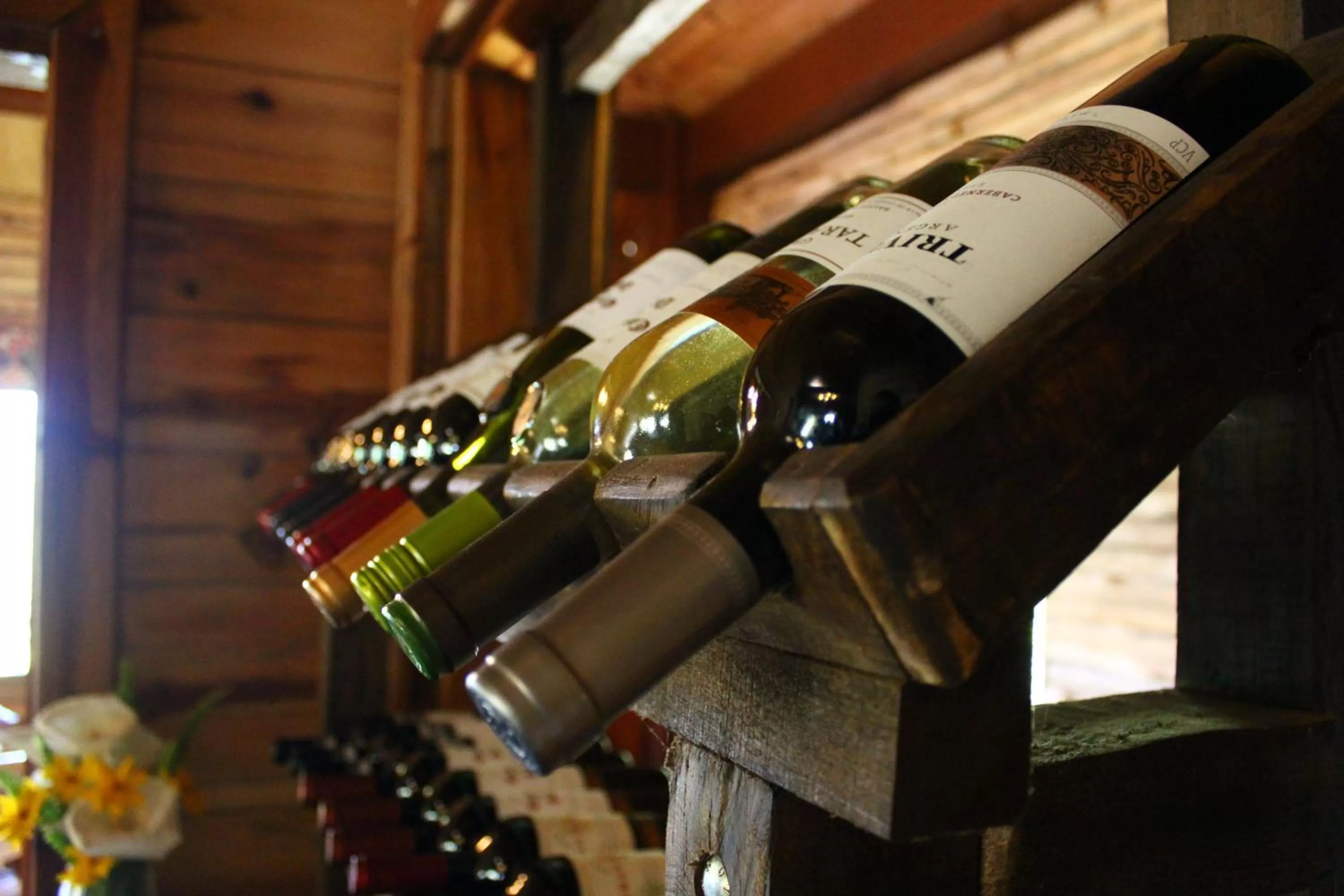 Restaurant/places to eat in TREE TREK BOQUETE Adventure Park