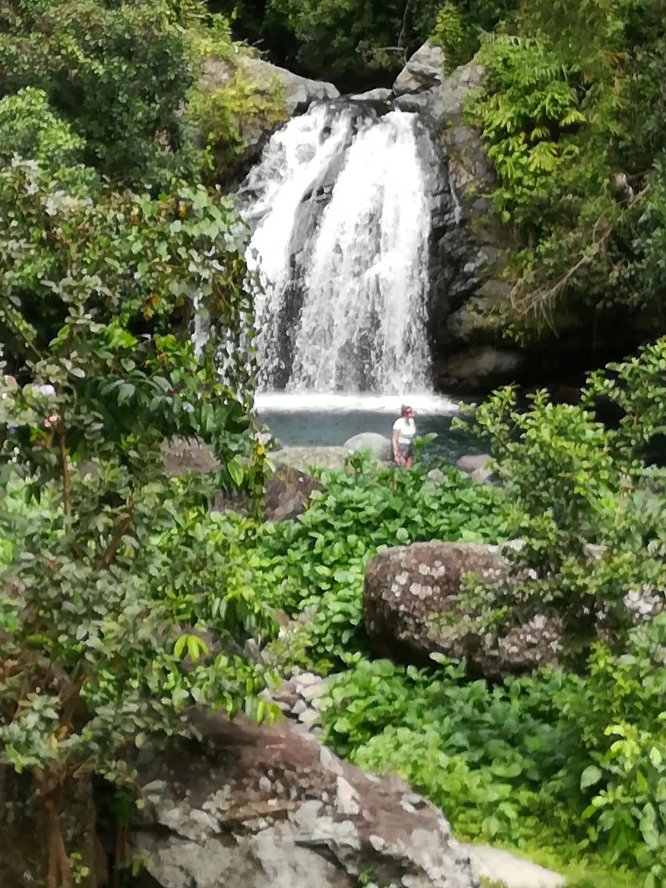 Hiking in TOGA GUEST HOUSE