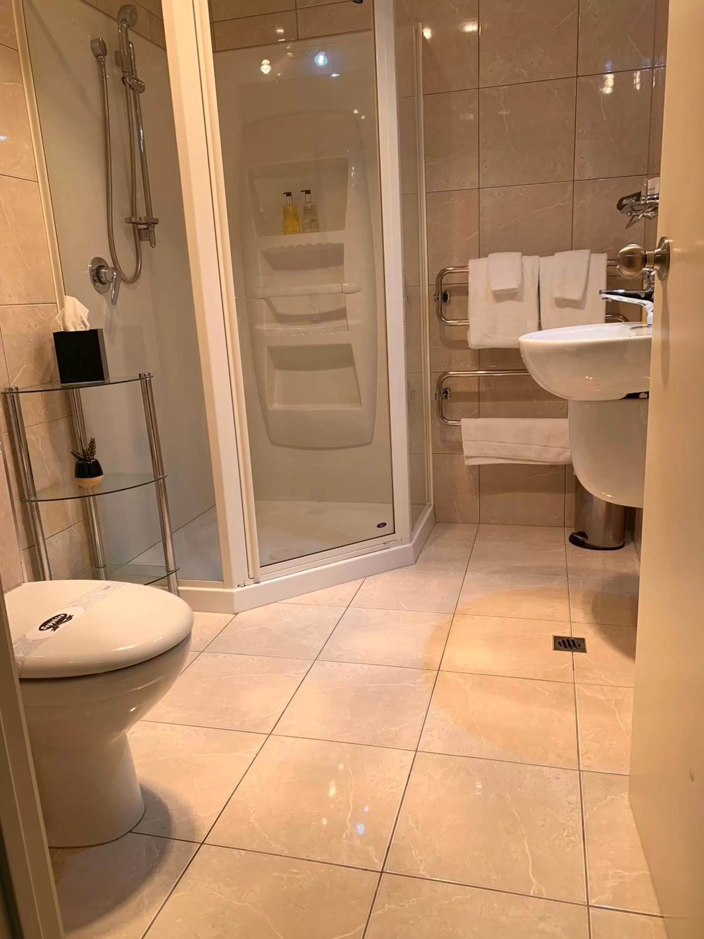 Bathroom in B-Ks Premier Motel Palmerston North