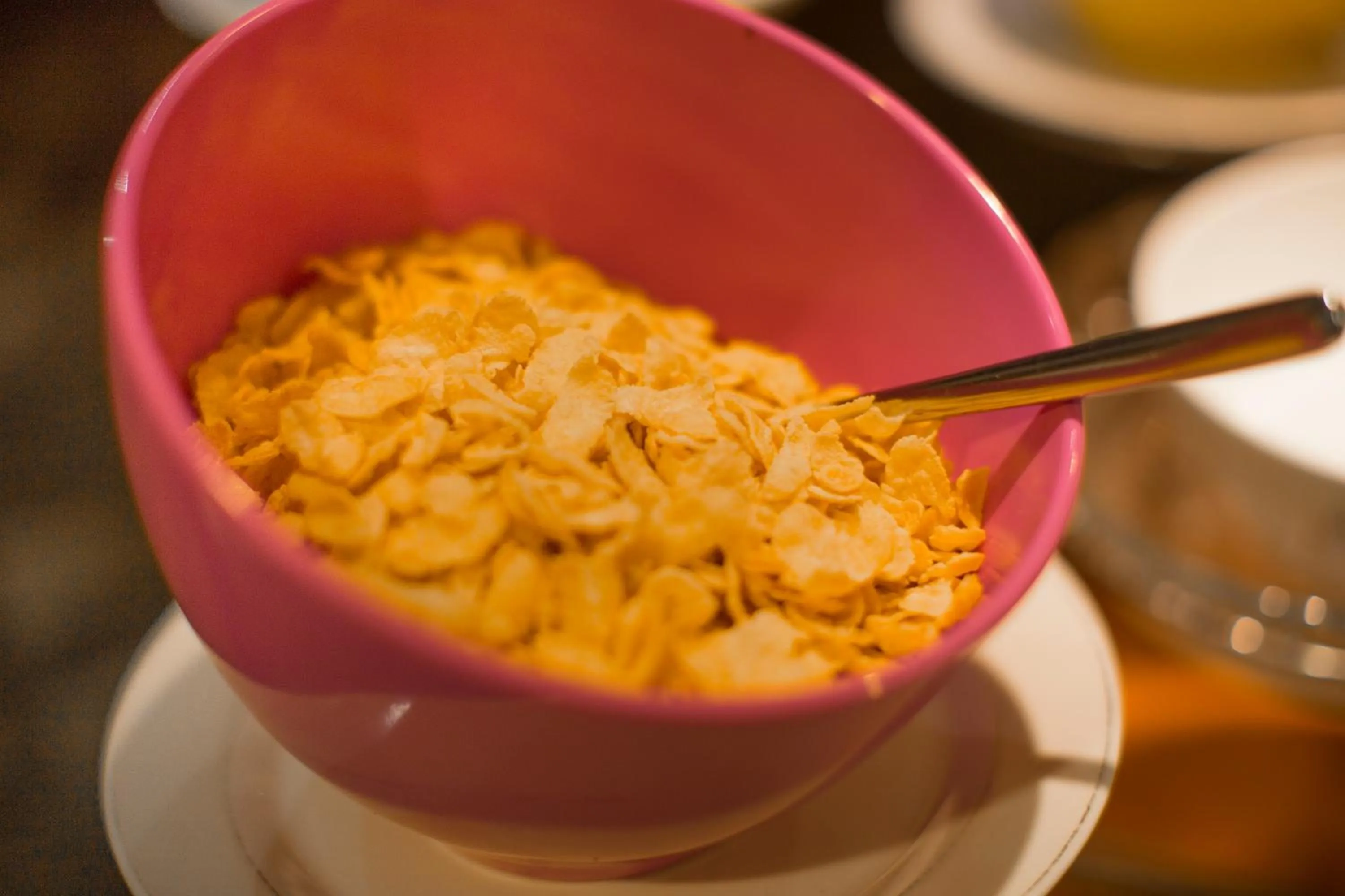 Breakfast in Apsor Palace Hotel