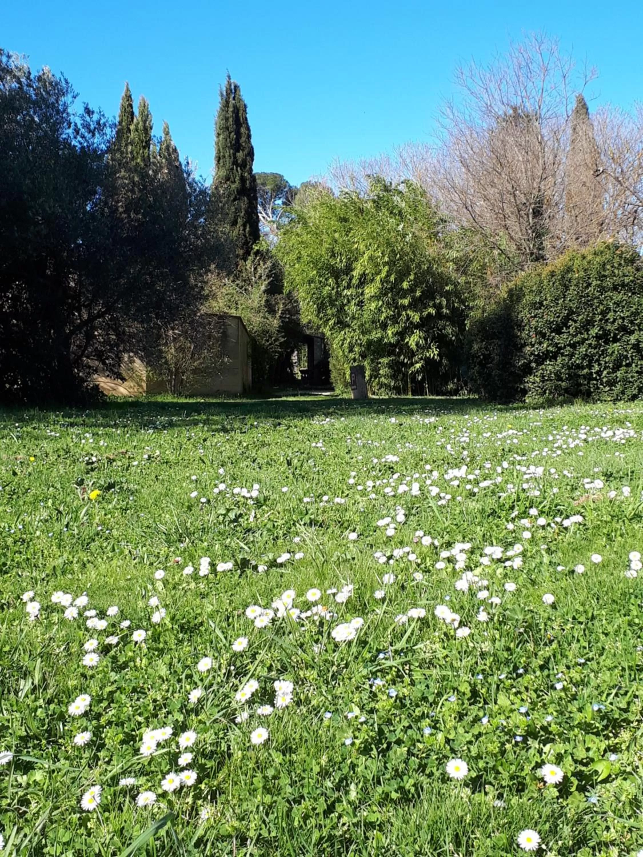 Garden in Aux berges du pont du gard