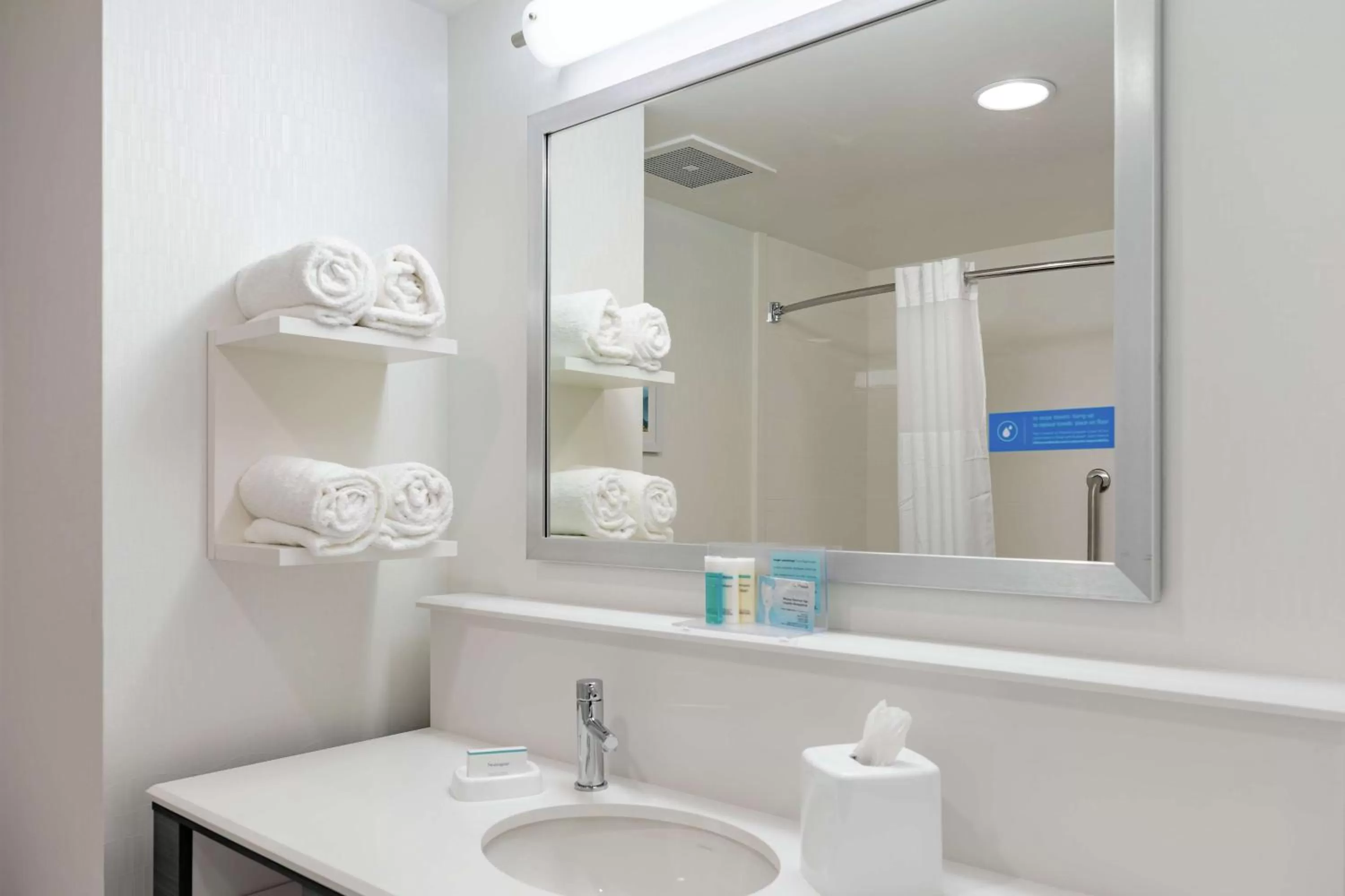 Bathroom in Hampton Inn Acworth