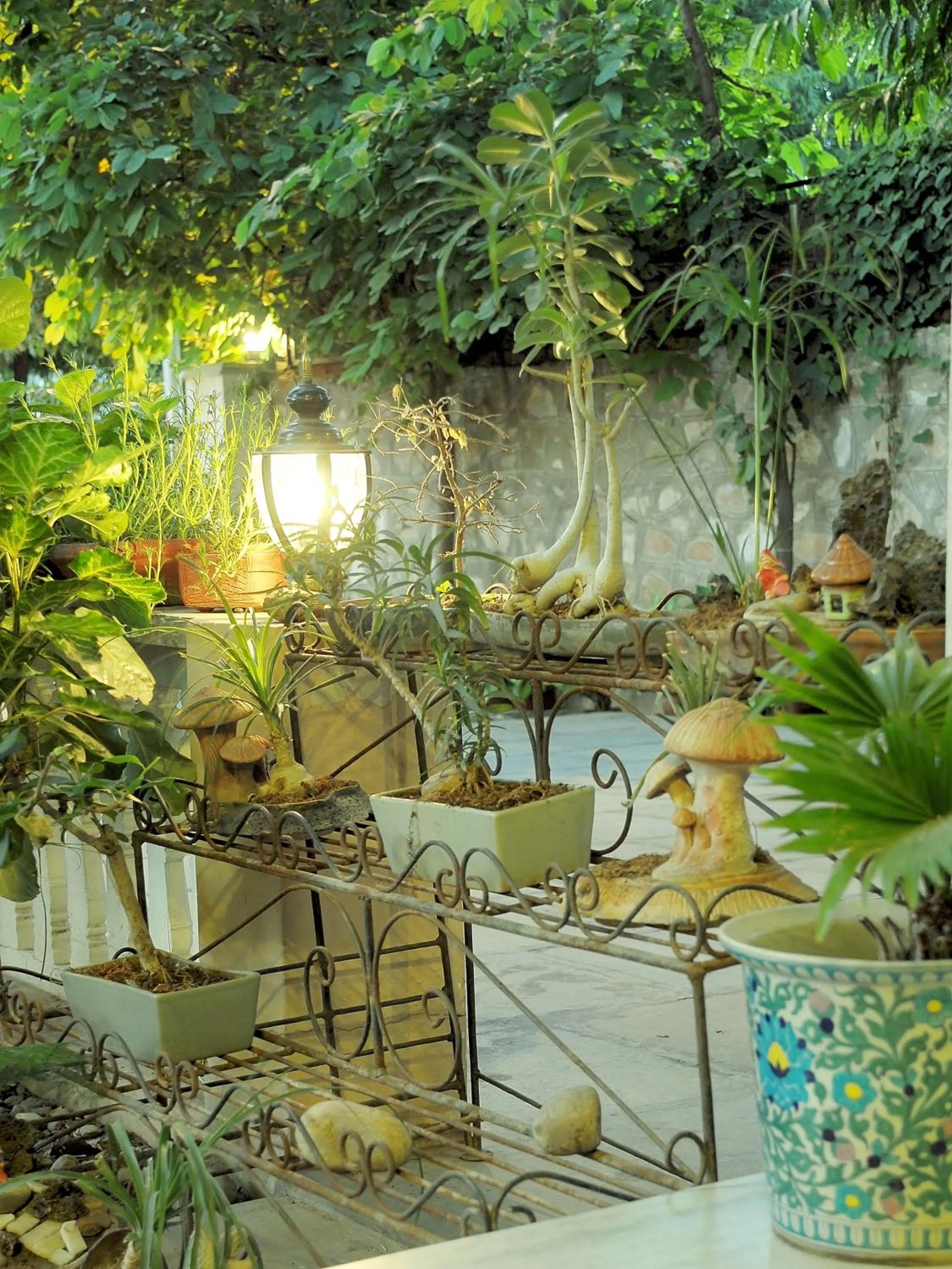 Garden in Tara Niwas