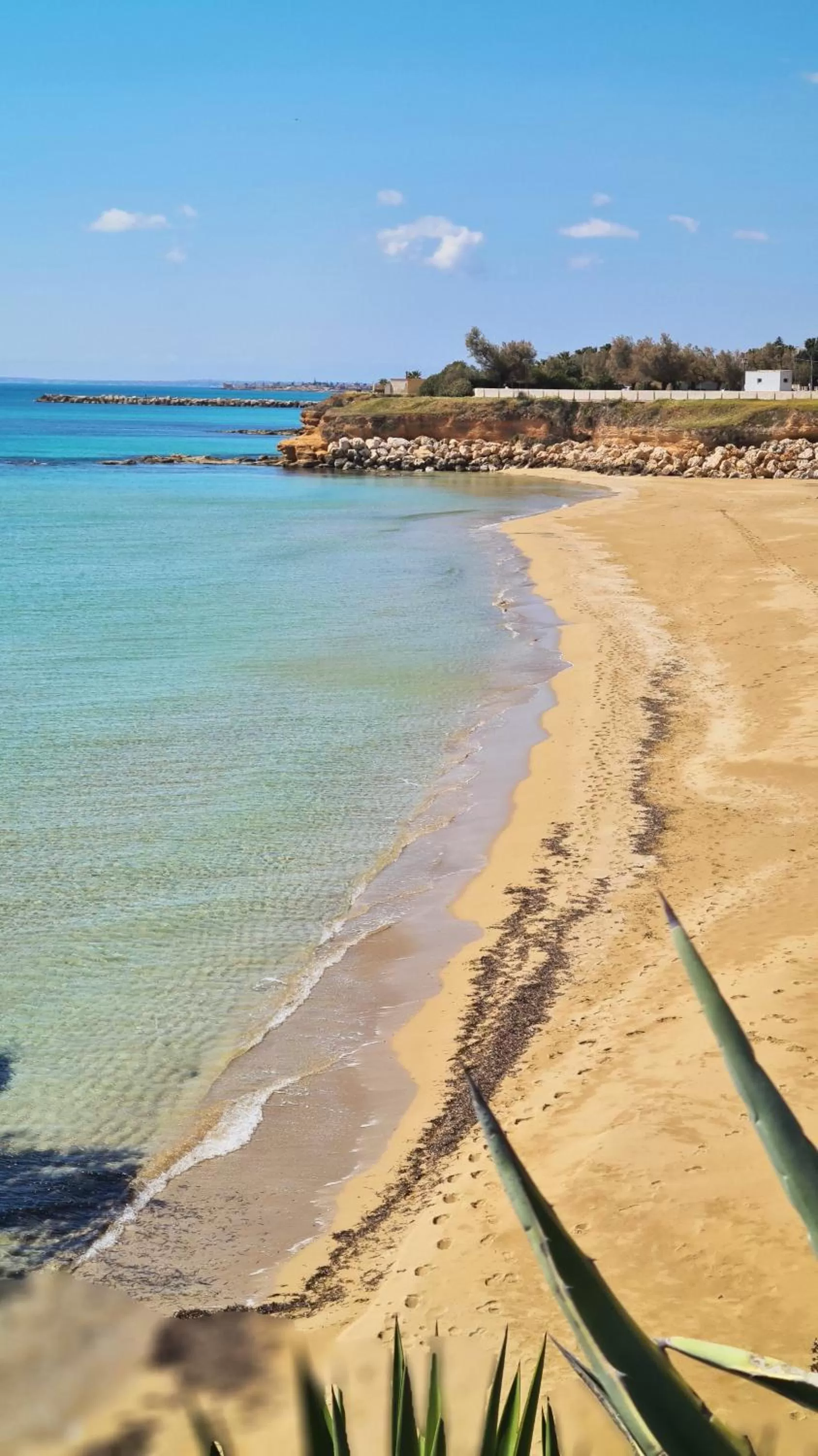 Natural landscape in Pantanello Rooms Avola